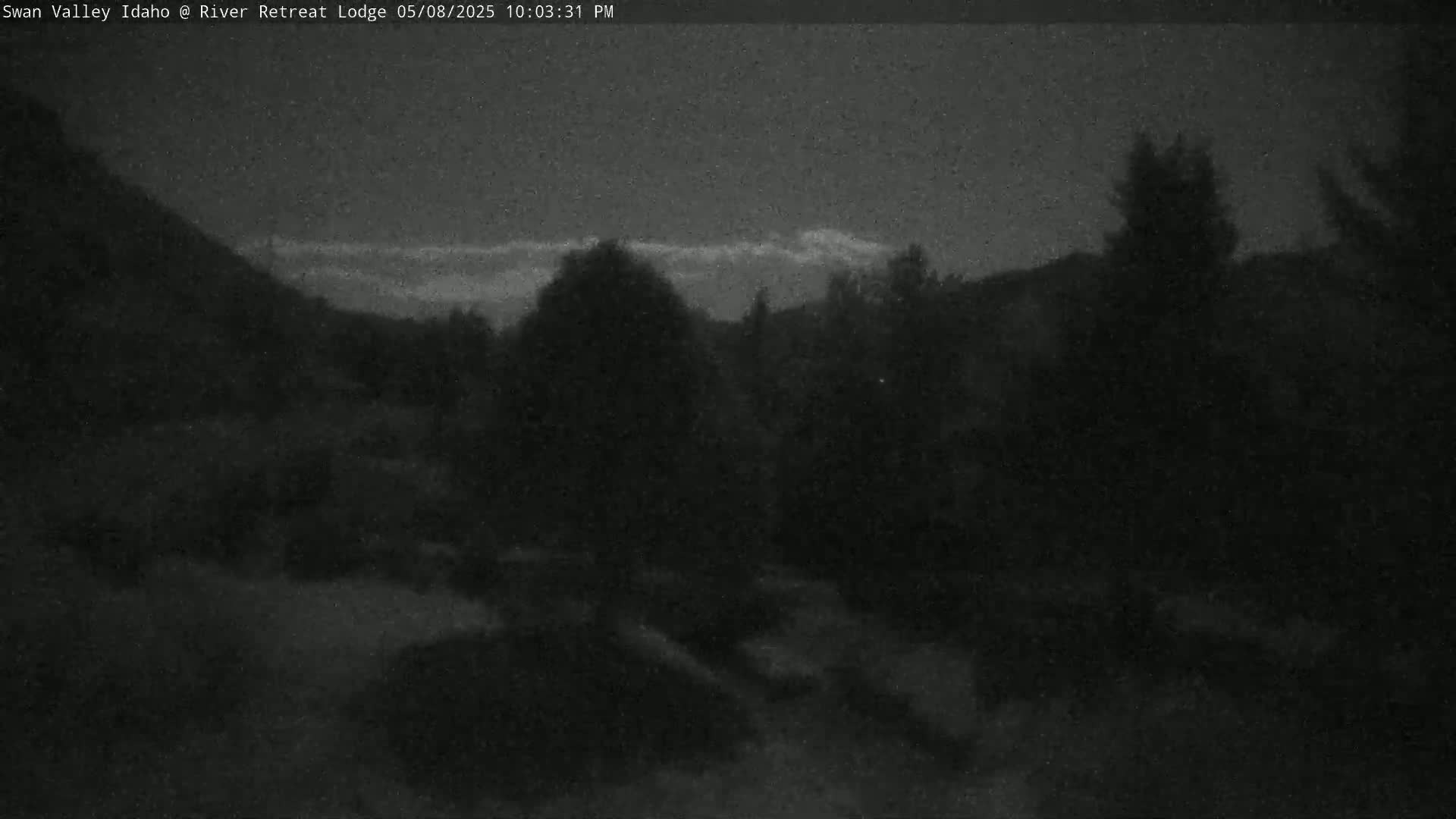 A nighttime, low-light outdoor scene shows dark silhouettes of trees and hills under a mostly clear sky with a faint, high cloud layer.