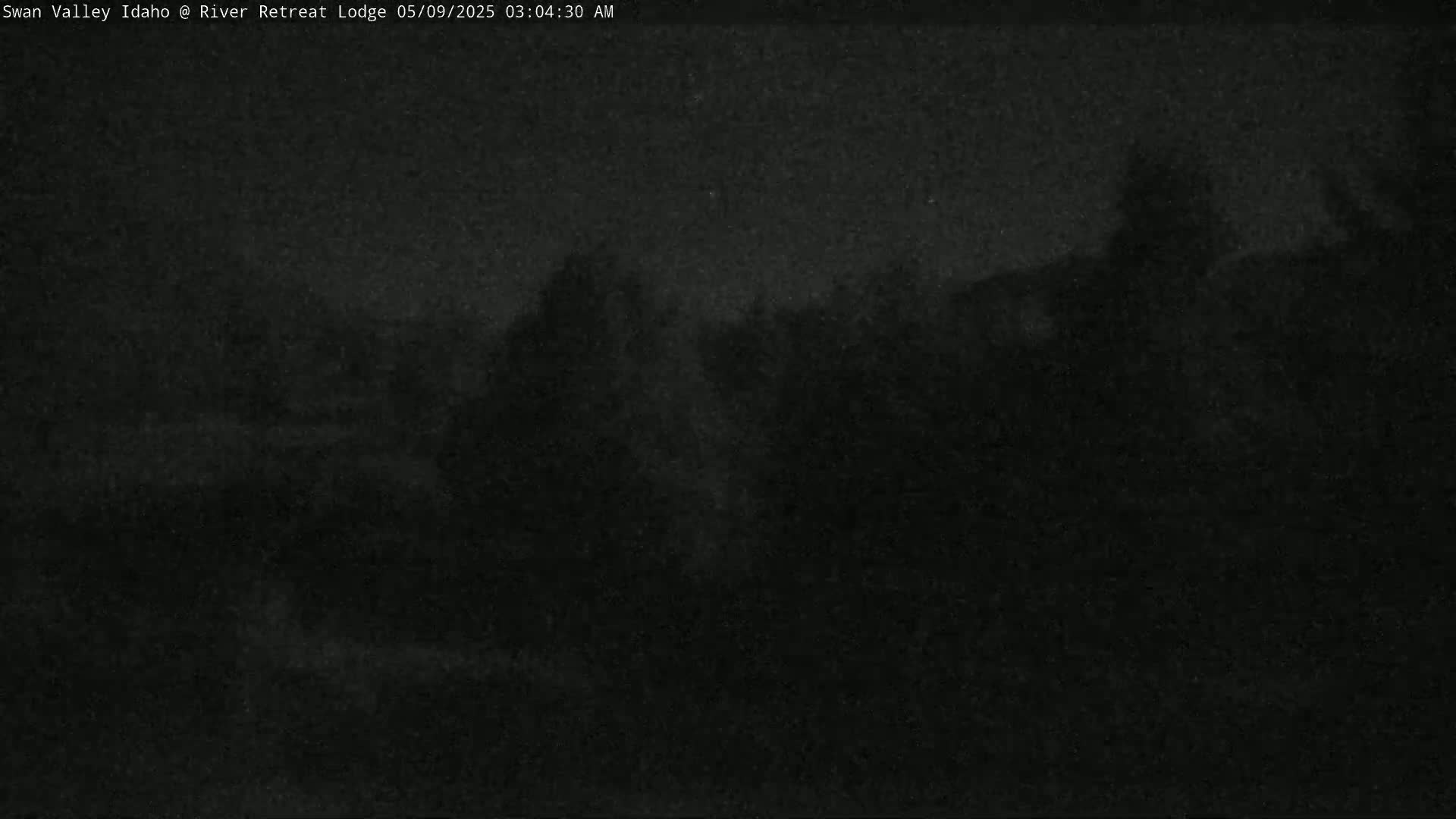 A dark, nighttime outdoor scene shows indistinct shapes of trees or bushes under a clear, possibly starlit sky.