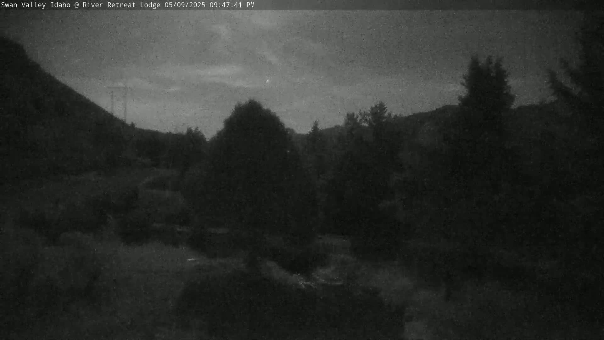 A nighttime, low-light view of a wooded area with a hill in the background under a mostly cloudy sky.