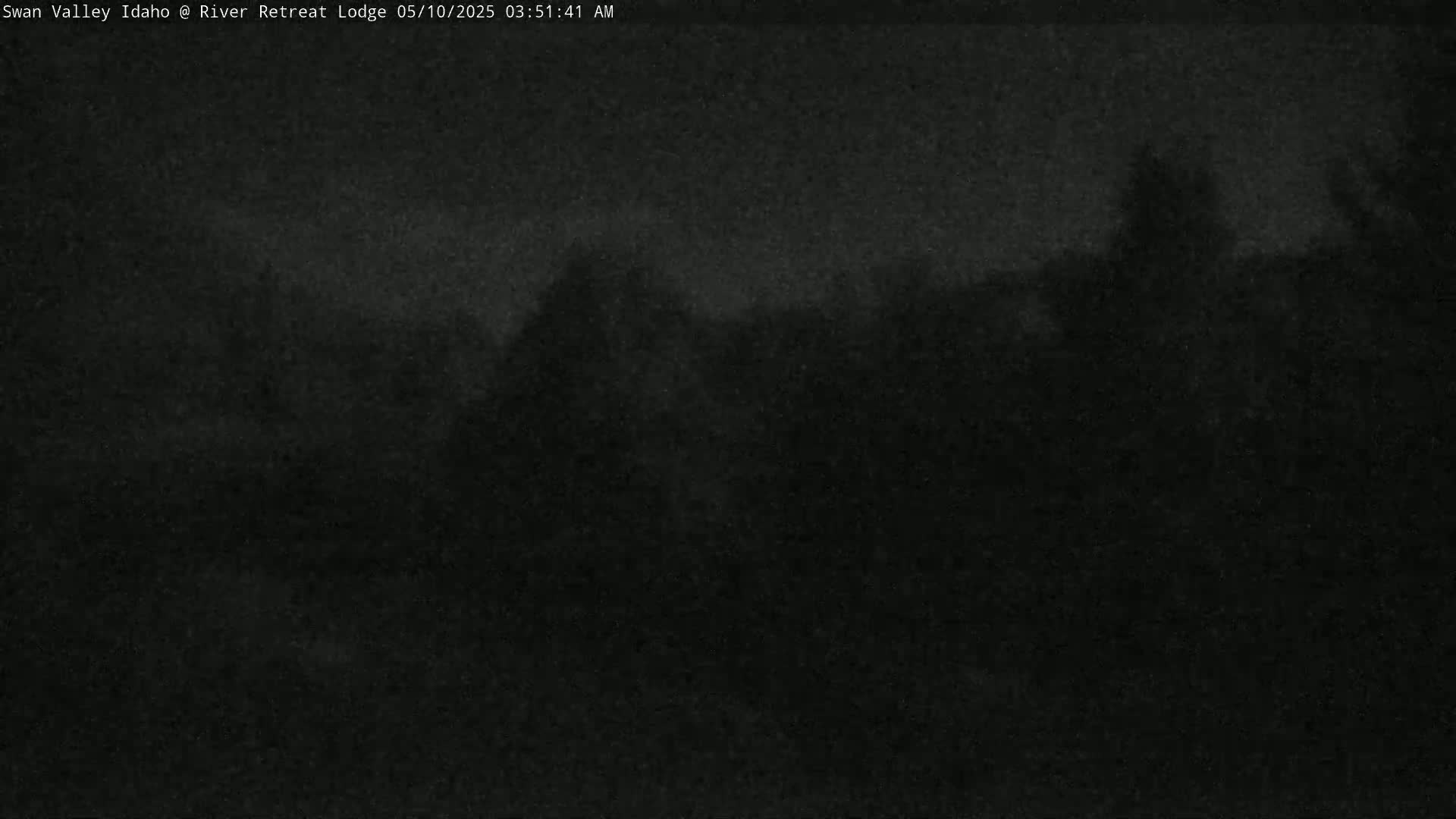 A dark, nighttime outdoor scene shows indistinct, shadowy shapes of trees or bushes under a cloudy sky.