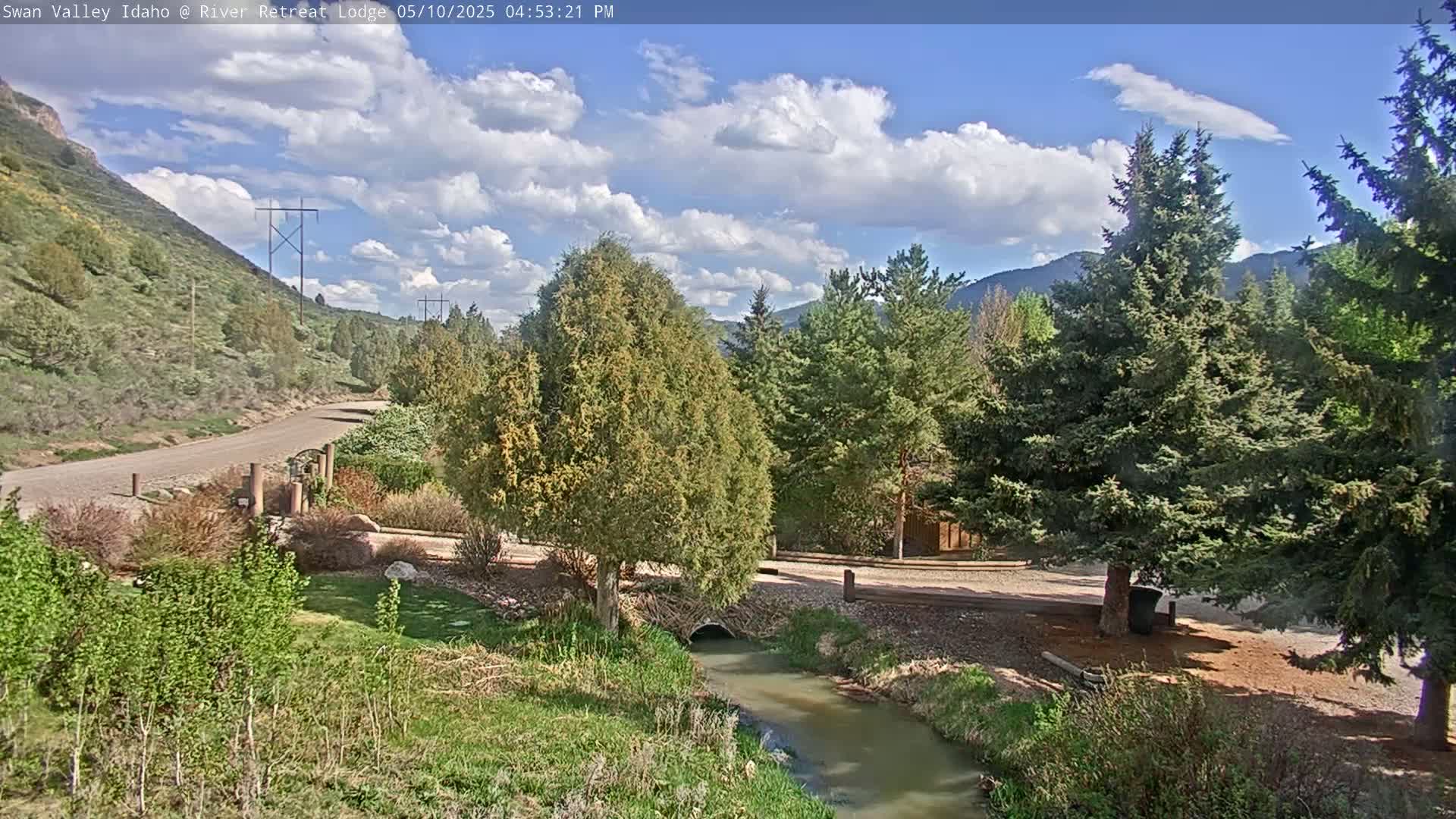 A small stream flows through a grassy area, near a gravel road and evergreens, under a partly cloudy sky.