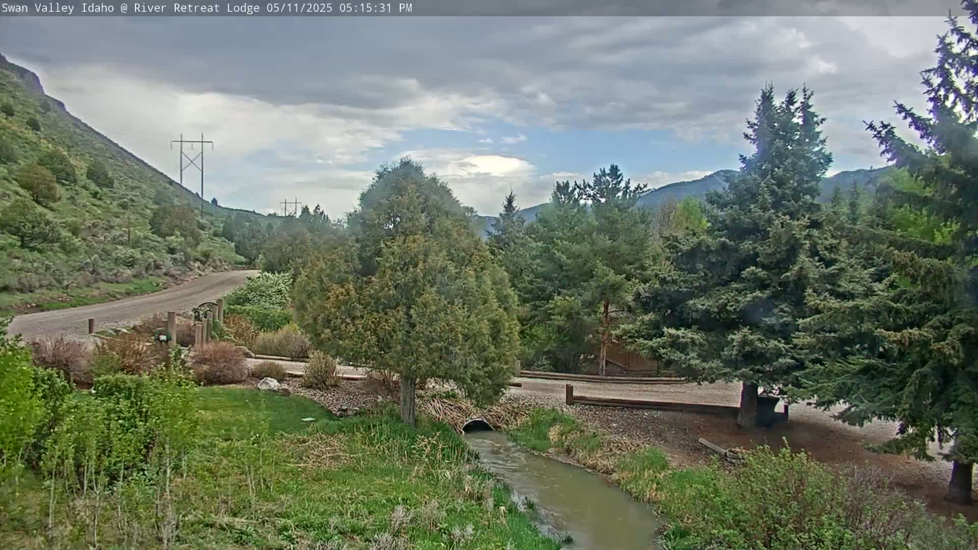 A small stream flows through a grassy area bordered by evergreen trees and a gravel road leading to a hillside under a partly cloudy sky.