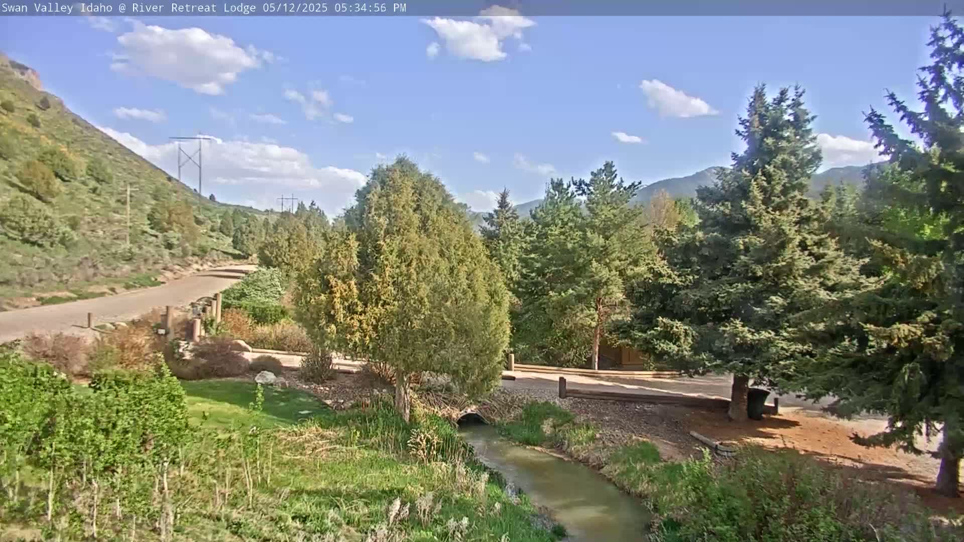 A small stream flows through a grassy area bordered by evergreen trees and a paved road leading to a hillside under a partly cloudy sky.