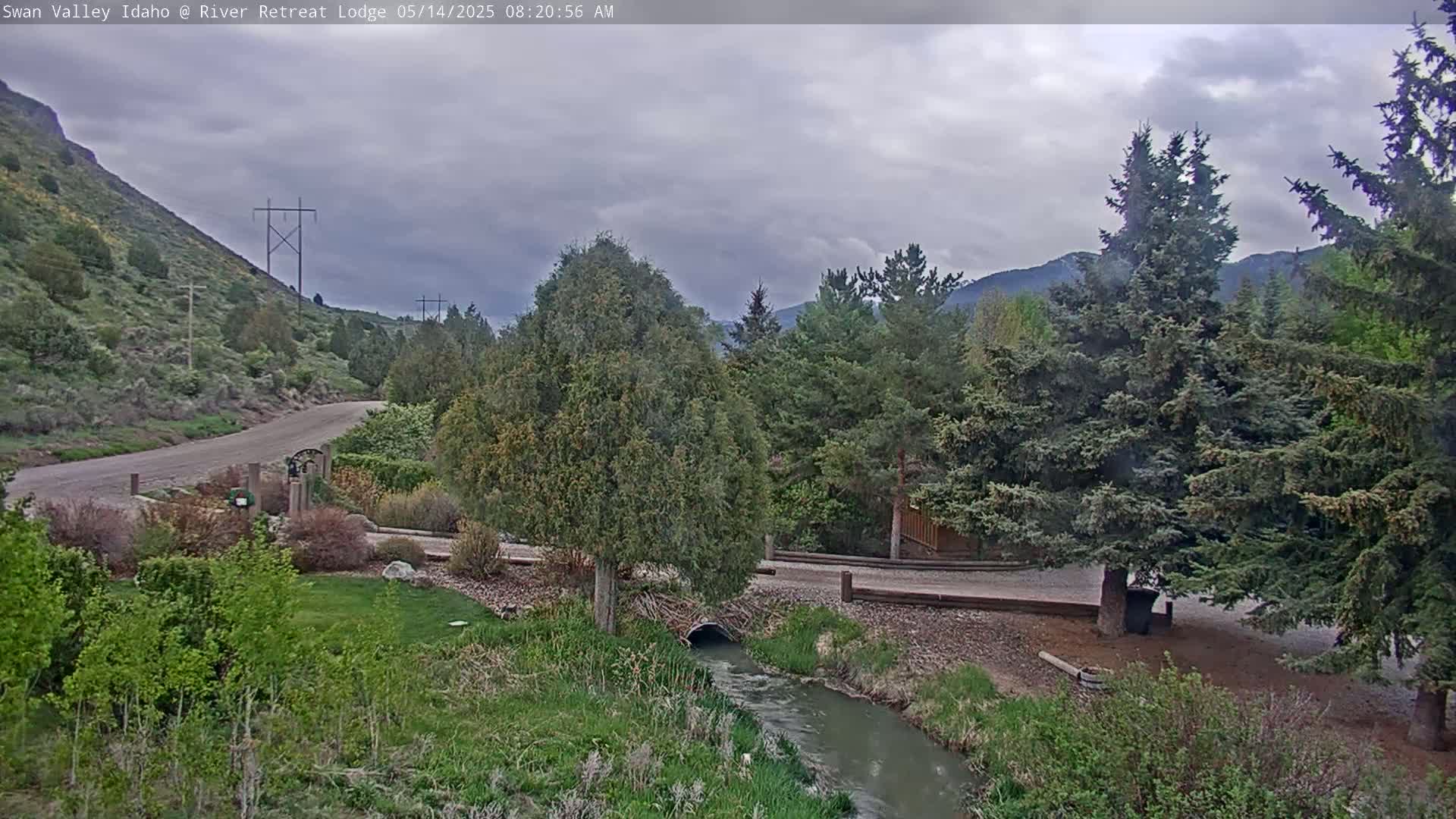 A small stream flows through a landscaped area near a gravel road and evergreen trees under an overcast sky.