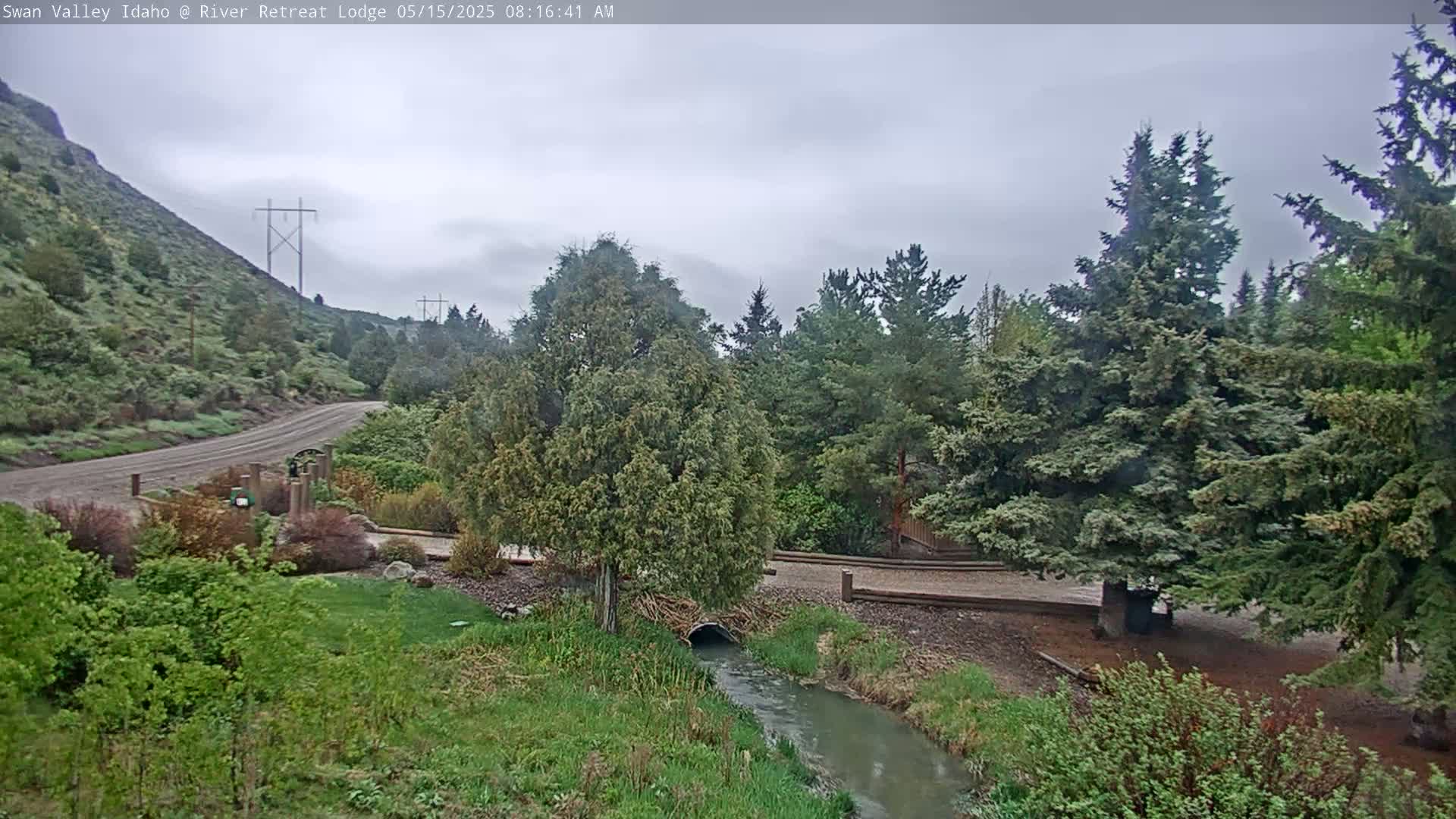 A paved road winds through a green hillside toward a small stream, under an overcast sky, past evergreen trees and lush vegetation.
