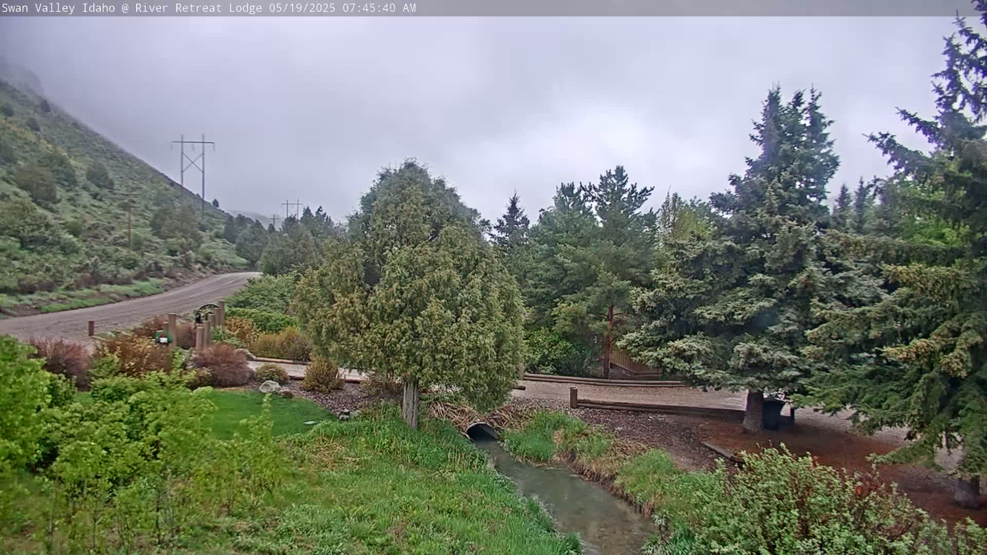 A small stream flows through a grassy area bordered by evergreens and a gravel road winding up a hillside under an overcast sky.