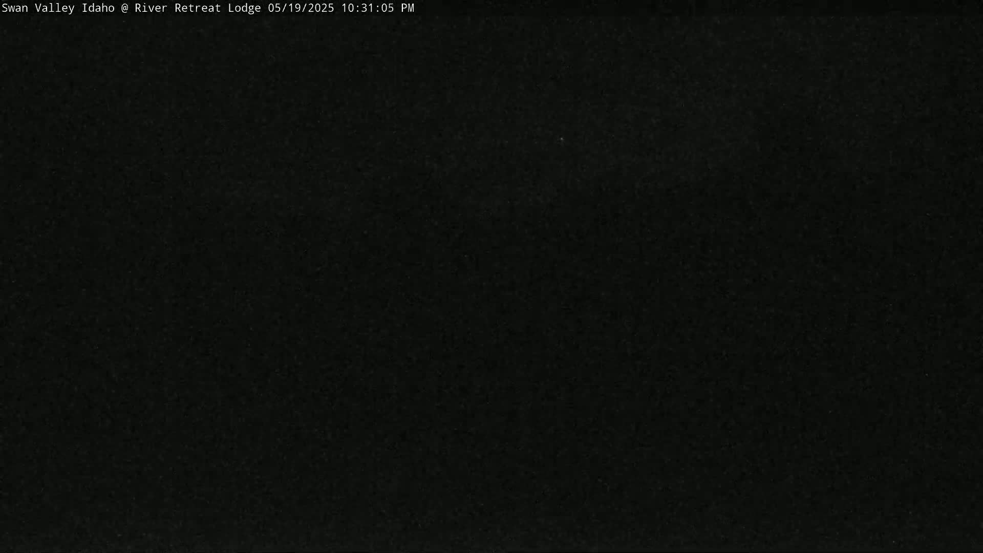 The image shows a completely dark, nighttime scene.