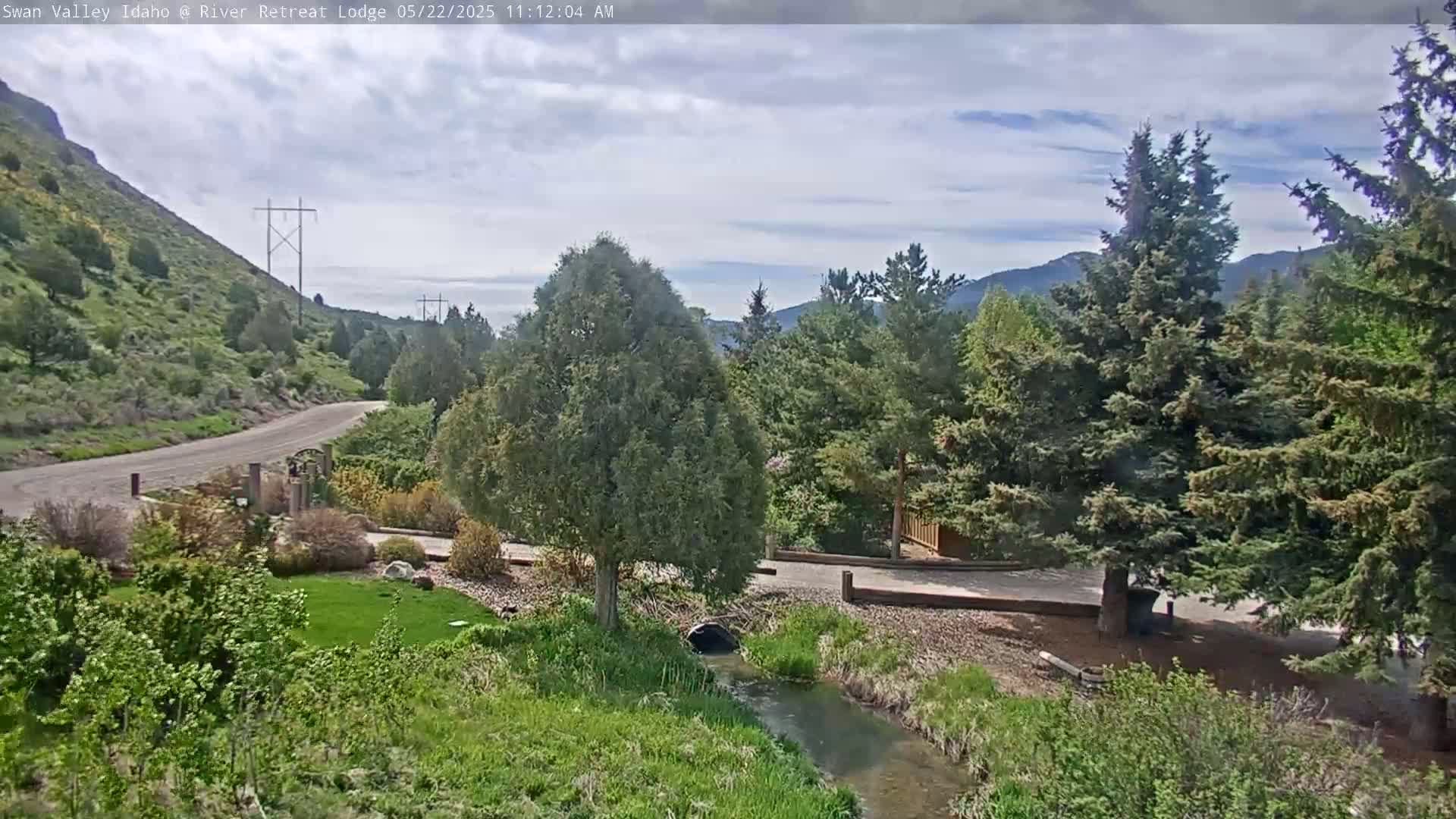 A partly cloudy sky overlooks a landscape with a paved road winding through a grassy area next to a small stream, with evergreen trees and a hillside in the background.