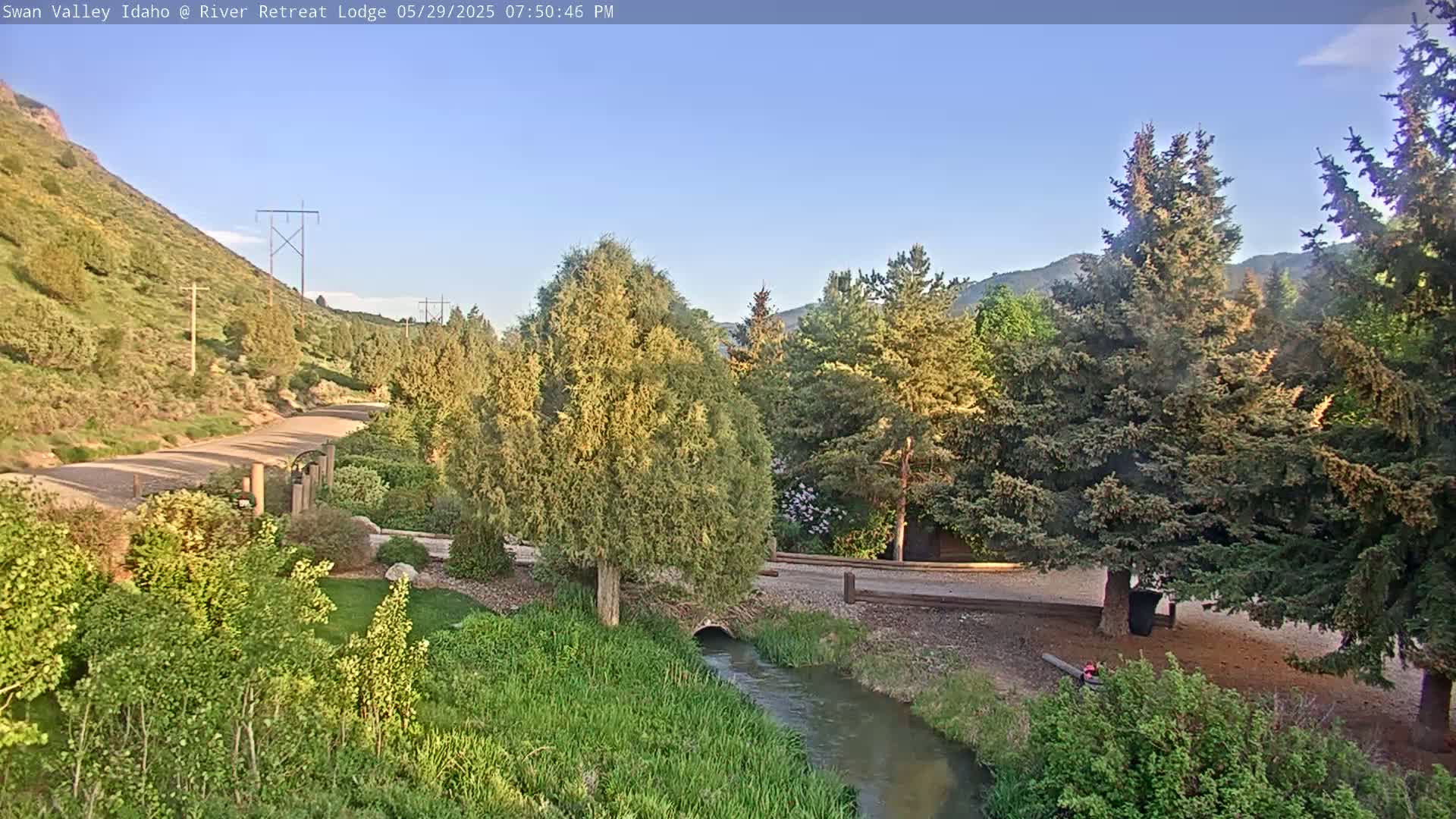 A tranquil stream flows through a lush green landscape next to a gravel road, under a clear blue sky.
