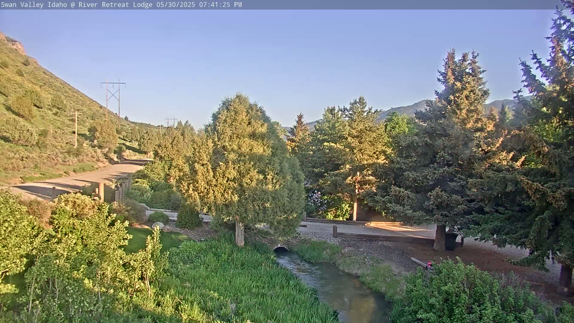A small stream flows through a grassy area bordered by lush green trees and a paved road leading up a hillside under a clear, bright sky.