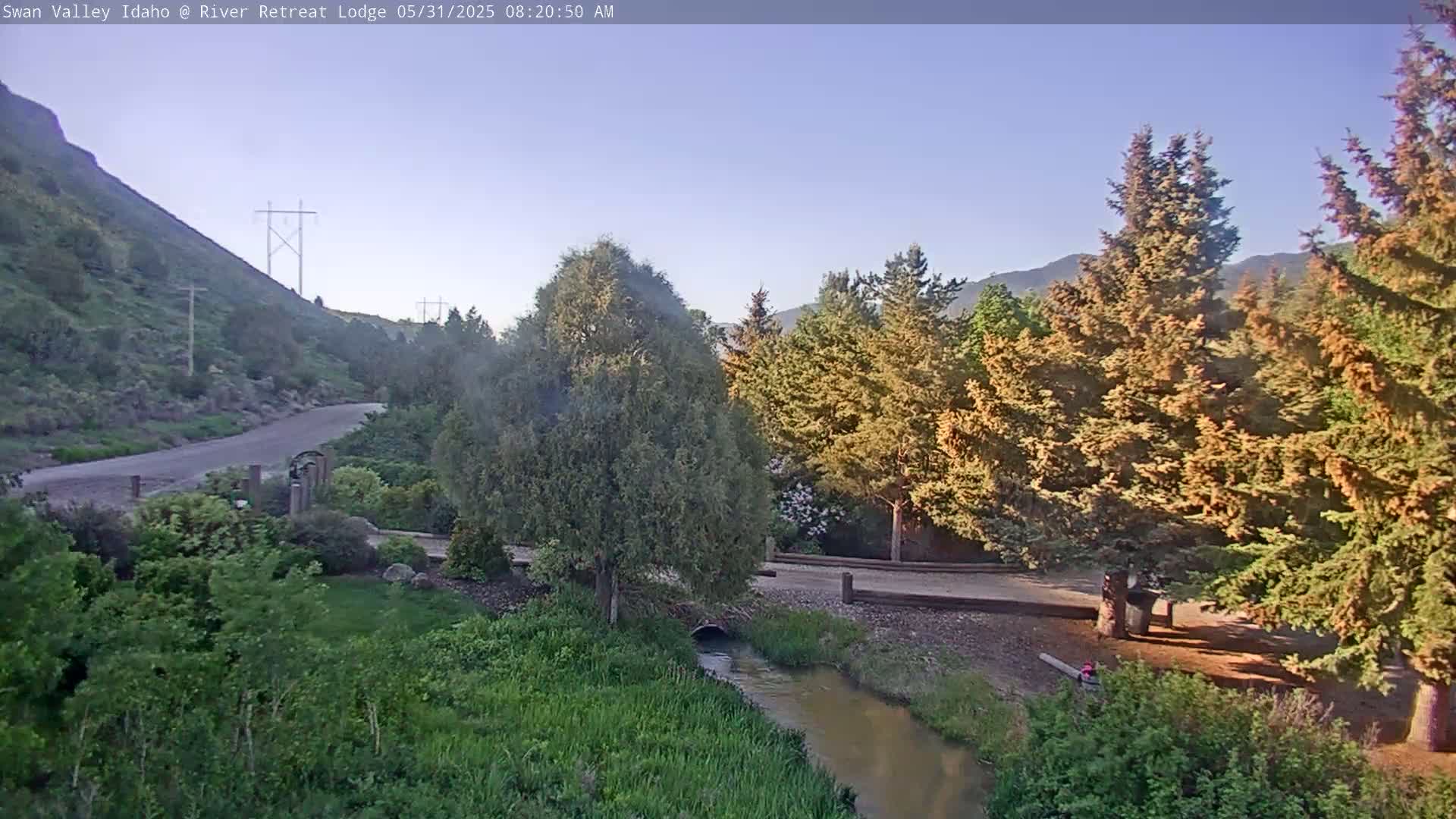 A small stream flows through a lush green landscape with evergreen trees and a gravel road under a clear, bright sky.