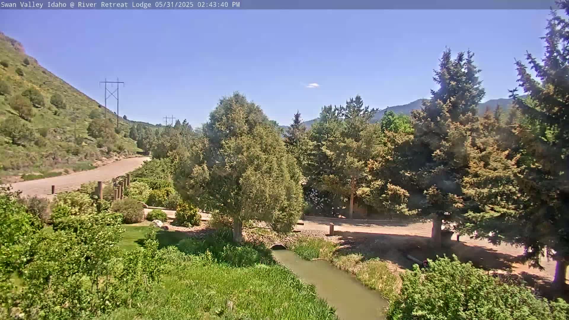 A tranquil stream flows through a lush green landscape under a clear blue sky, nestled between a gravel road and a verdant hillside.