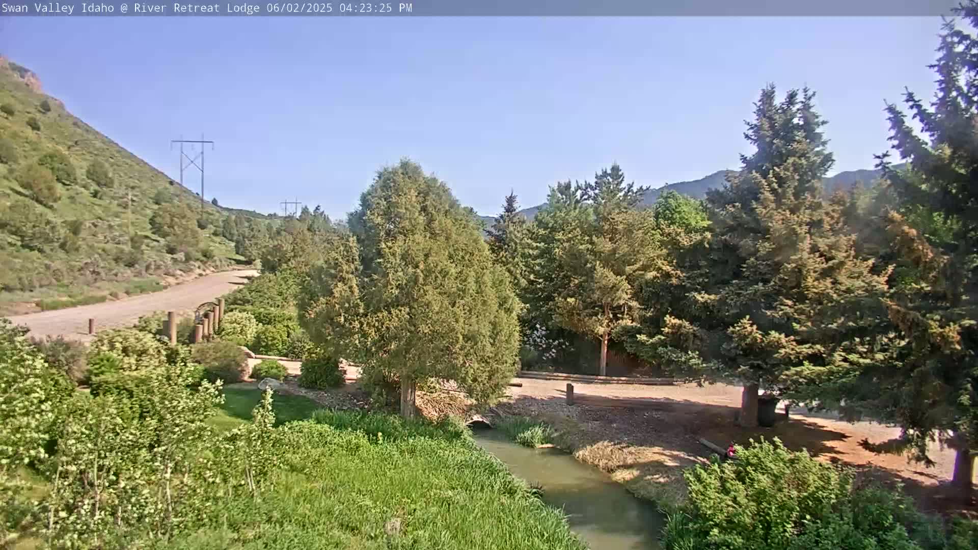 A gravel road winds through a lush green valley under a clear blue sky, alongside a small stream that flows past evergreen trees and shrubs.