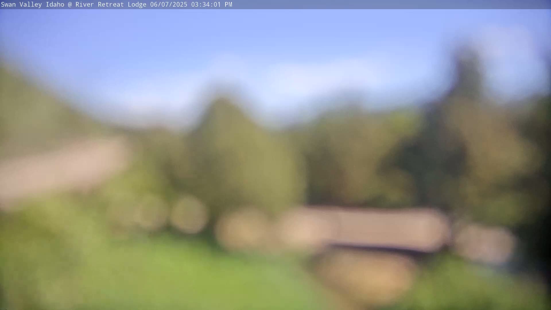 A blurry outdoor image shows a mostly sunny sky over a landscape of green trees and grass under a clear sky.
