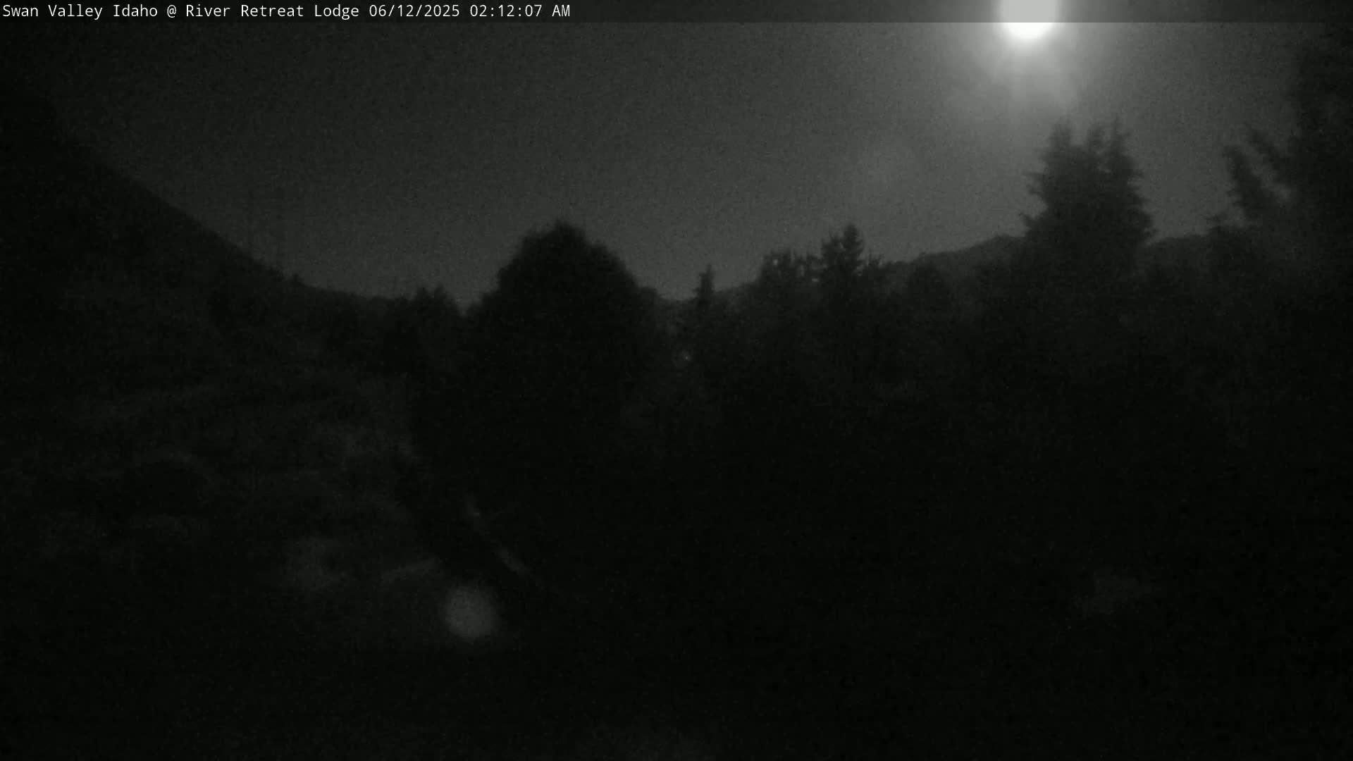 A nighttime view of dark trees and a hill under a bright moon.