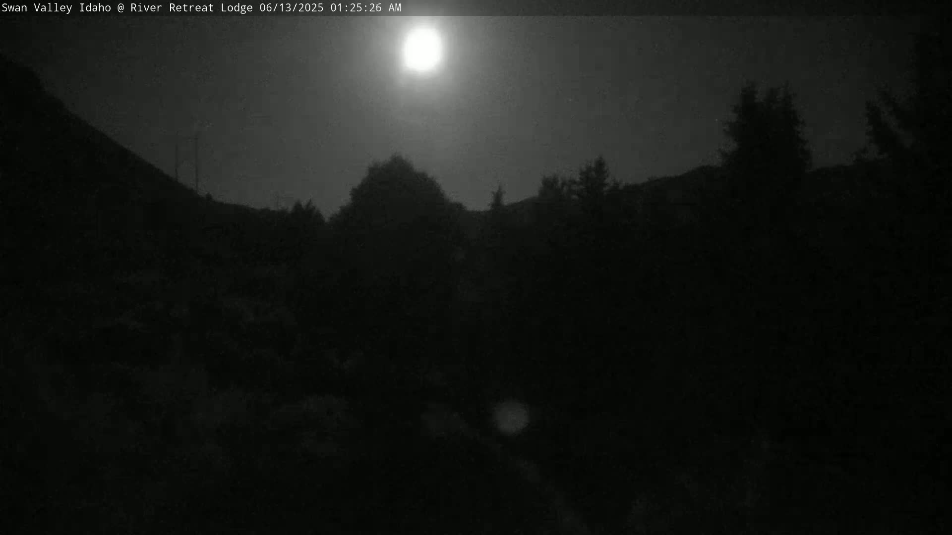 A bright moon illuminates a dark, nighttime landscape of silhouetted trees and hills under a clear sky.