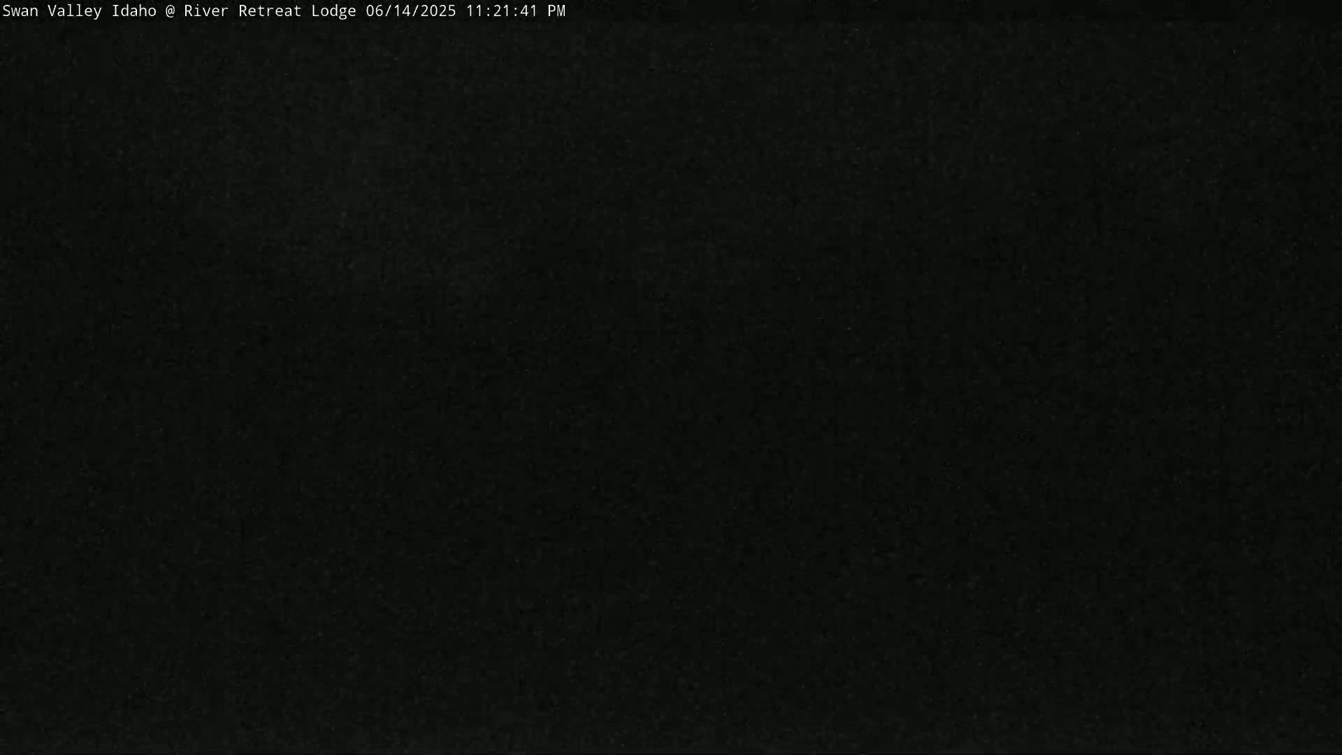 The image is a completely black, grainy screen.