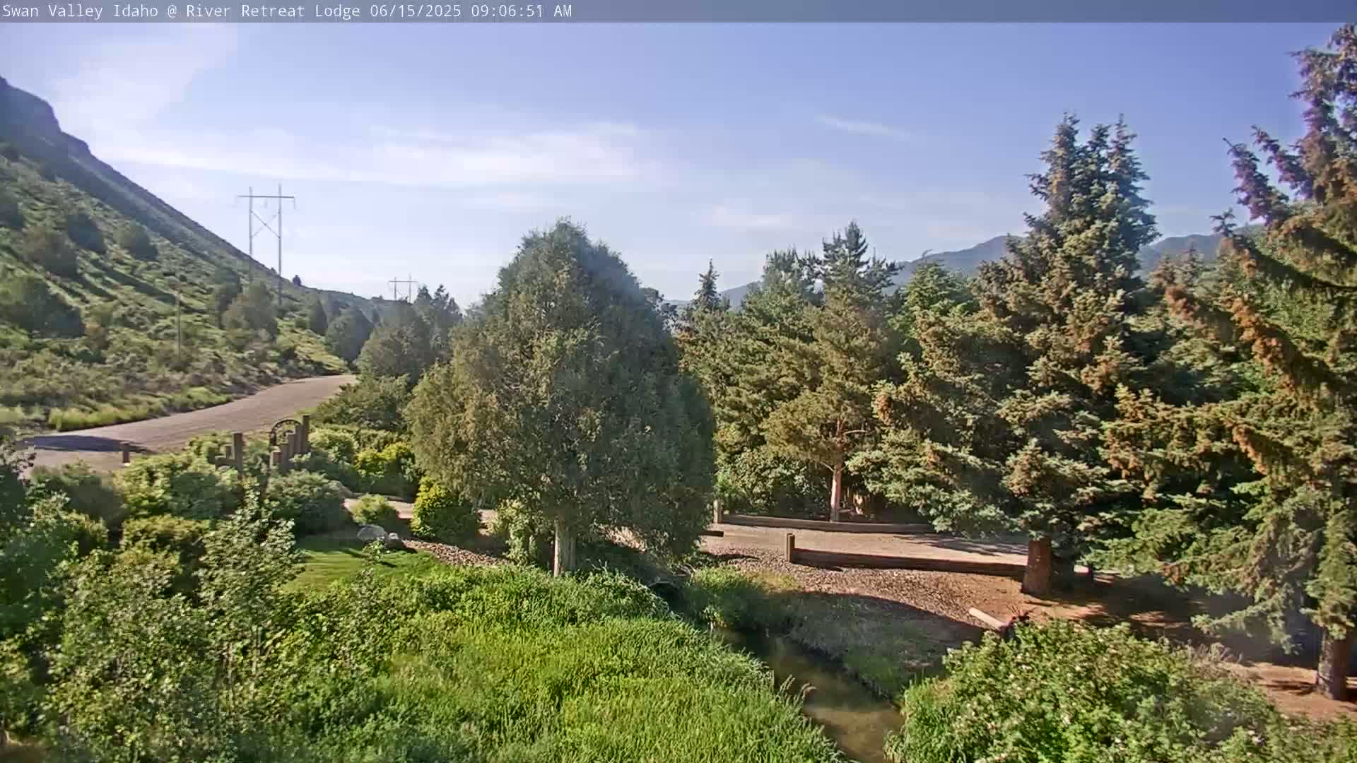 A gravel road winds through a lush green valley under a clear blue sky, alongside a small stream and a stand of evergreen trees near a hillside.