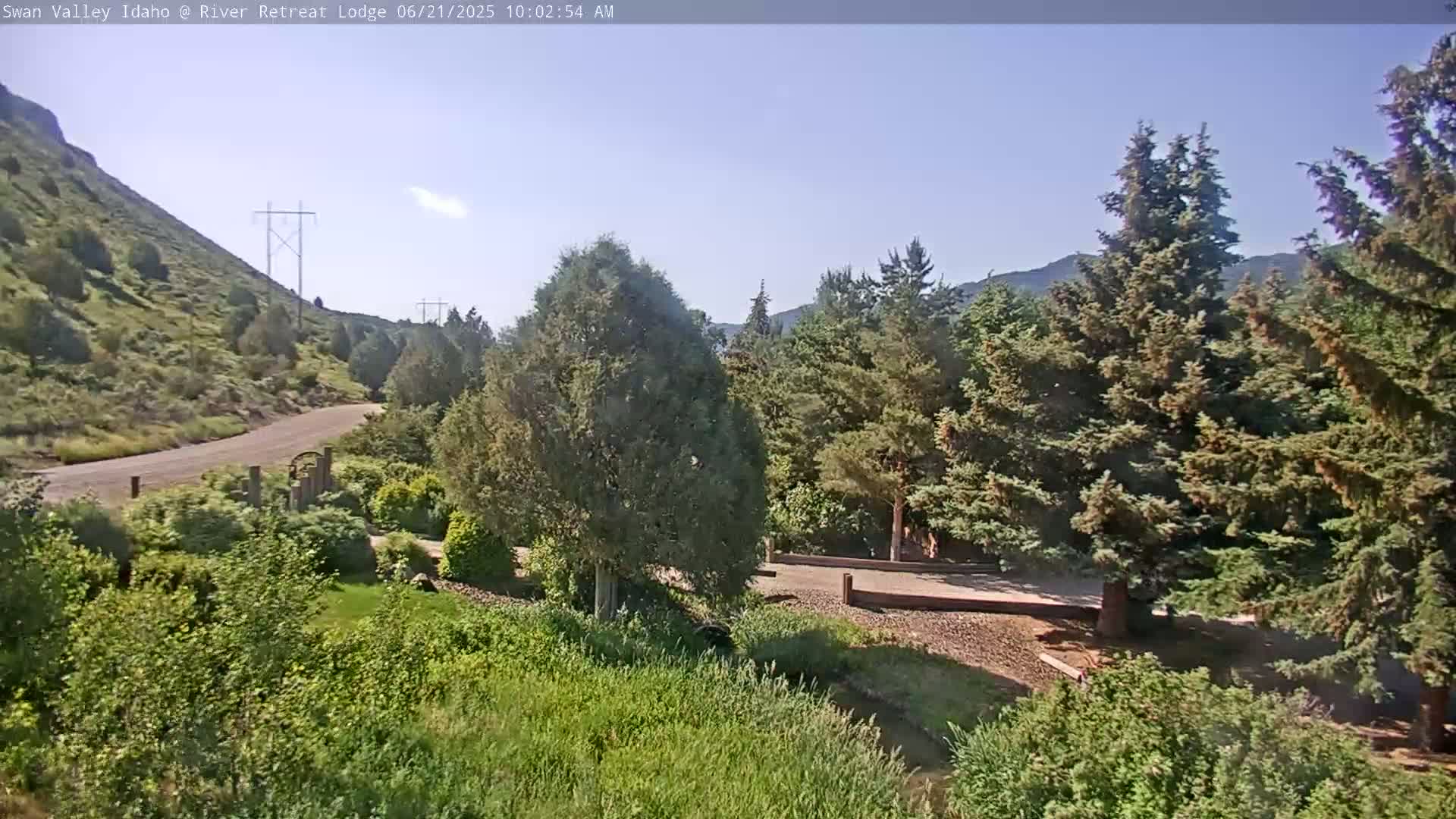 A gravel road curves around a grassy hillside, leading to a clearing surrounded by evergreen trees under a mostly clear sky.
