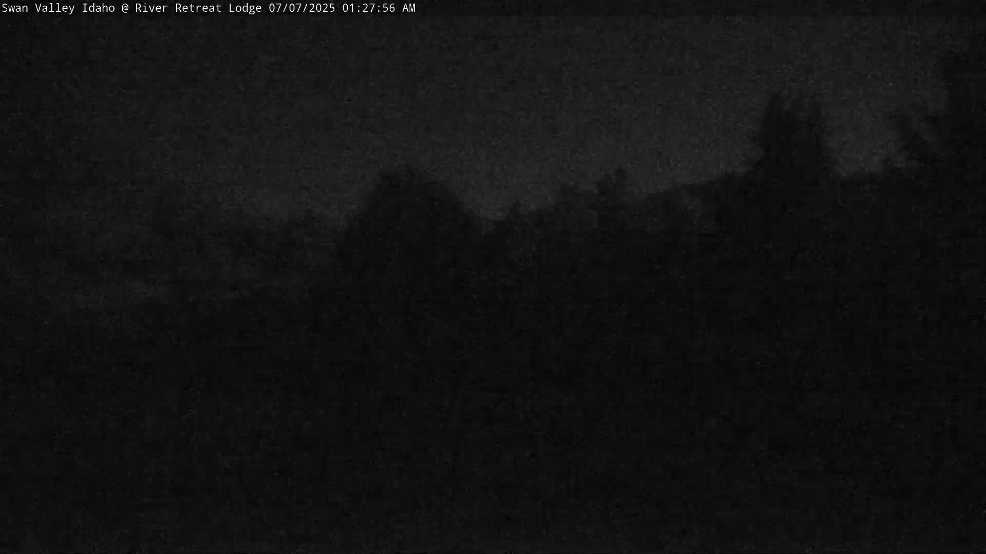 A dark, nighttime image shows a mostly indistinct, dark landscape with some vegetation silhouetted against a slightly brighter sky.