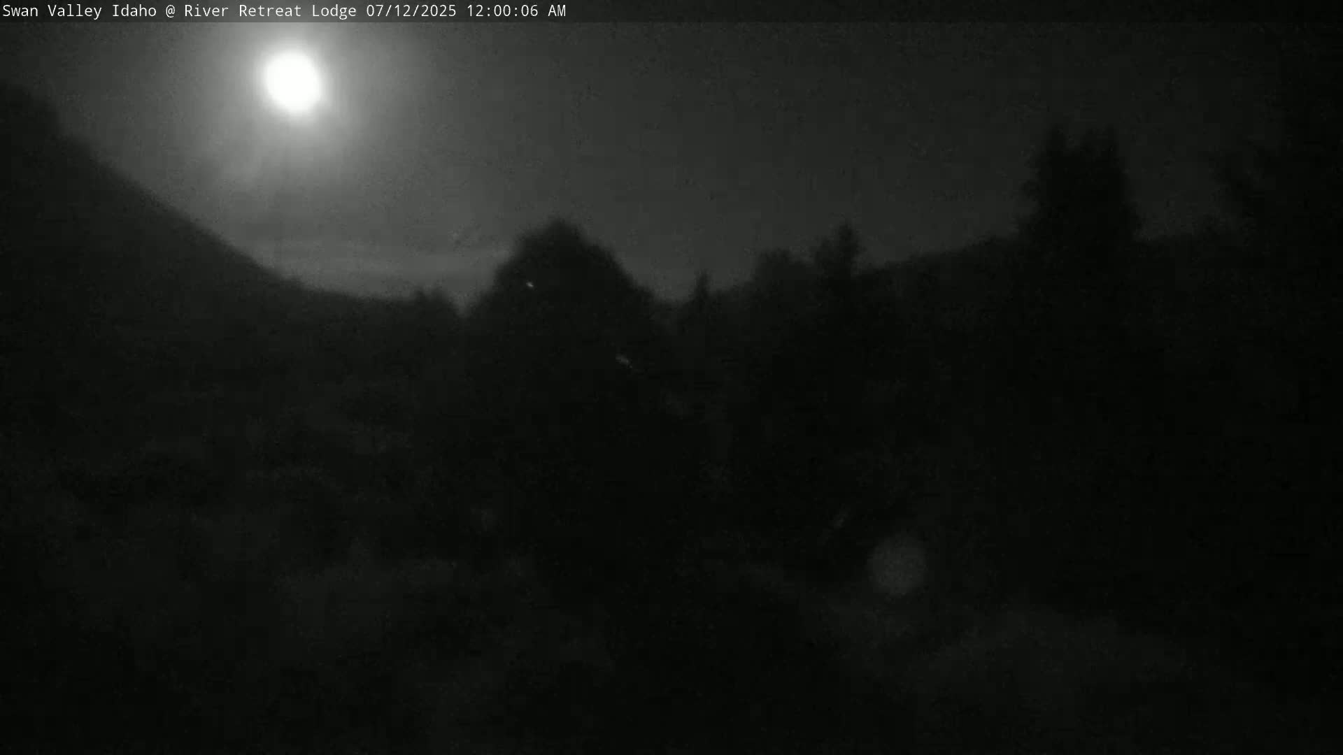 A dark, nighttime image shows a mostly indistinct, dark landscape with some vegetation silhouetted against a slightly brighter sky.