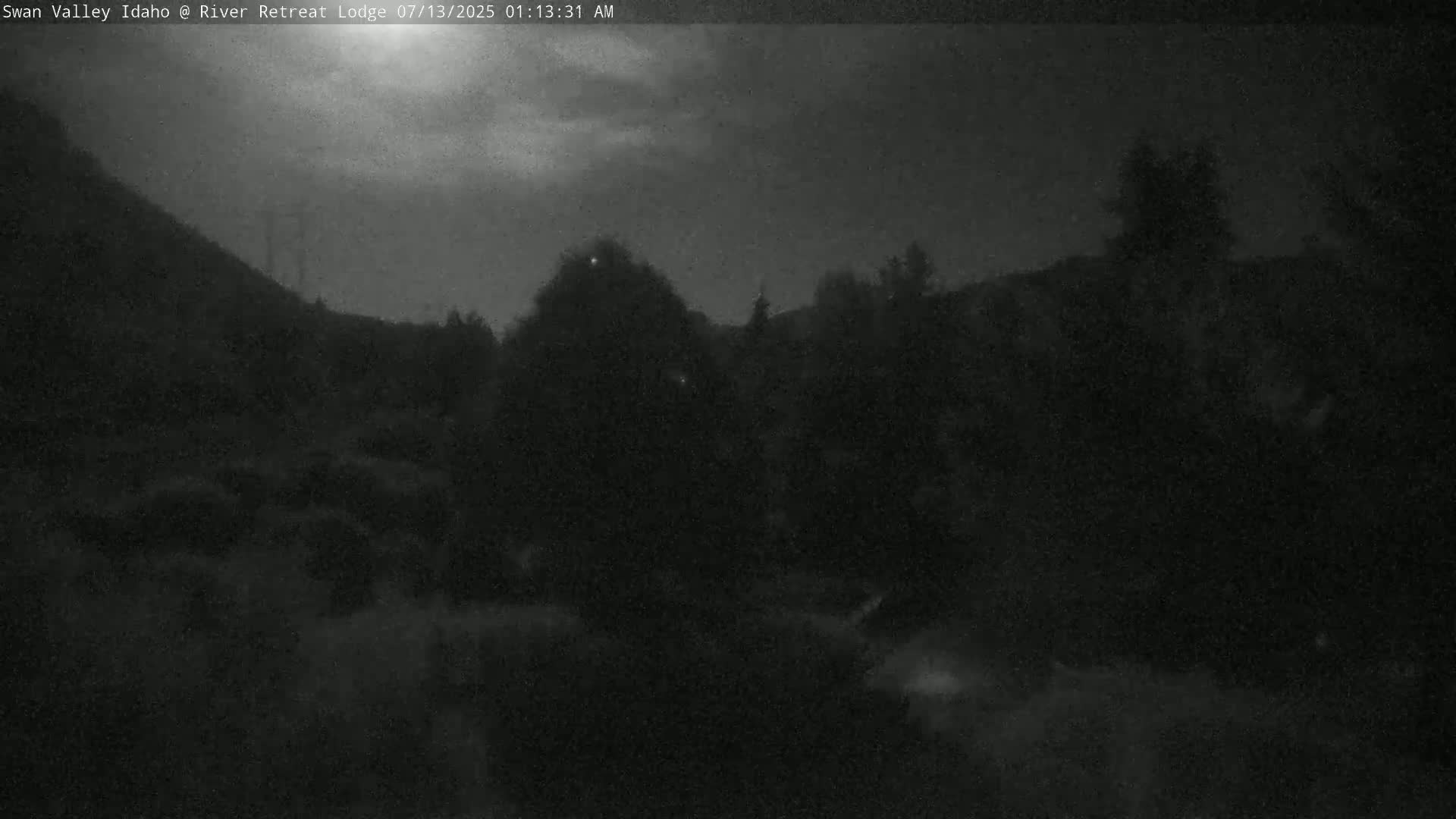 A nighttime, low-light view of a dark, wooded area under a cloudy sky.