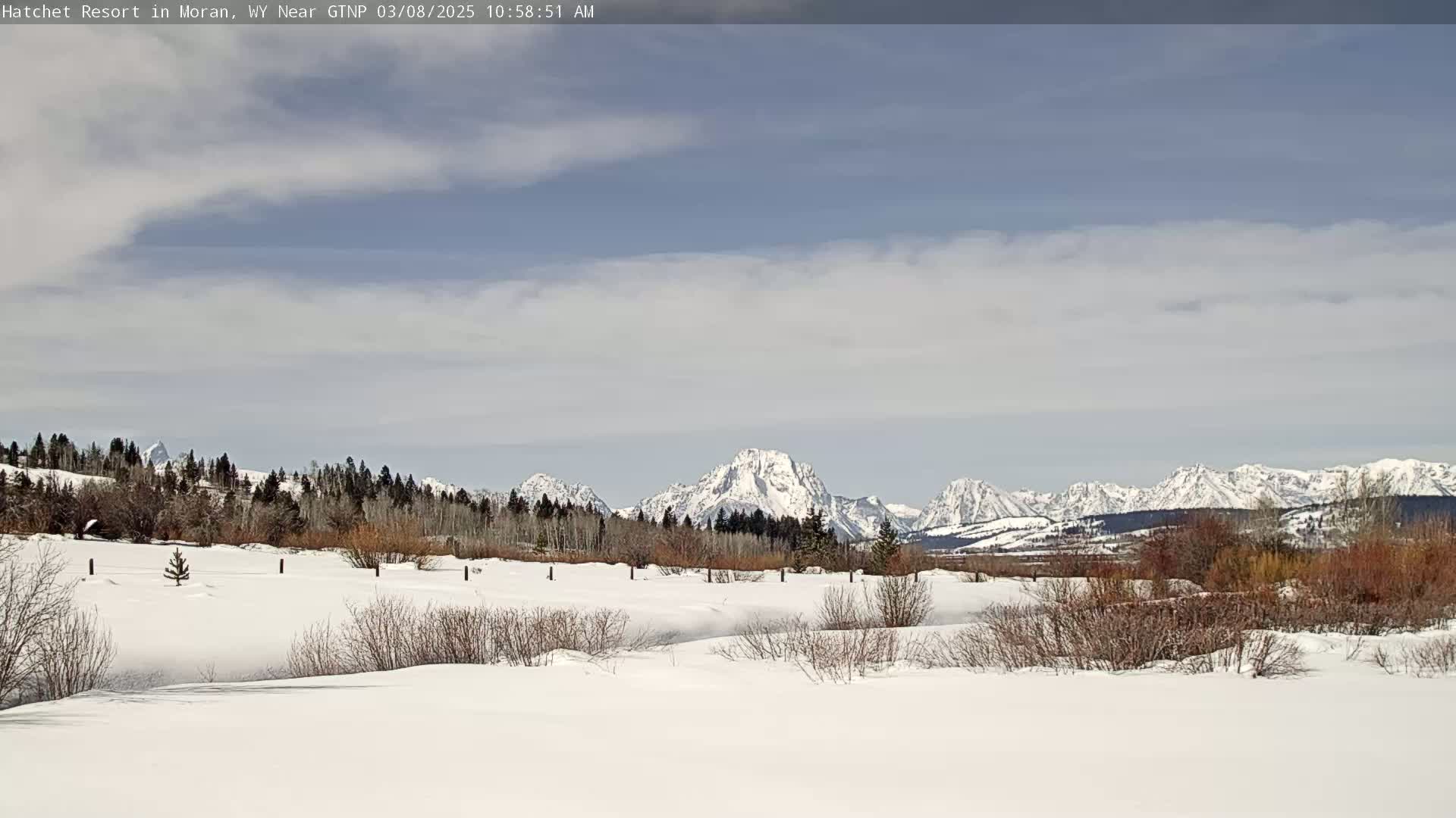 A snow-covered field with leafless bushes stretches towards a range of snow-capped mountains under a mostly cloudy sky.