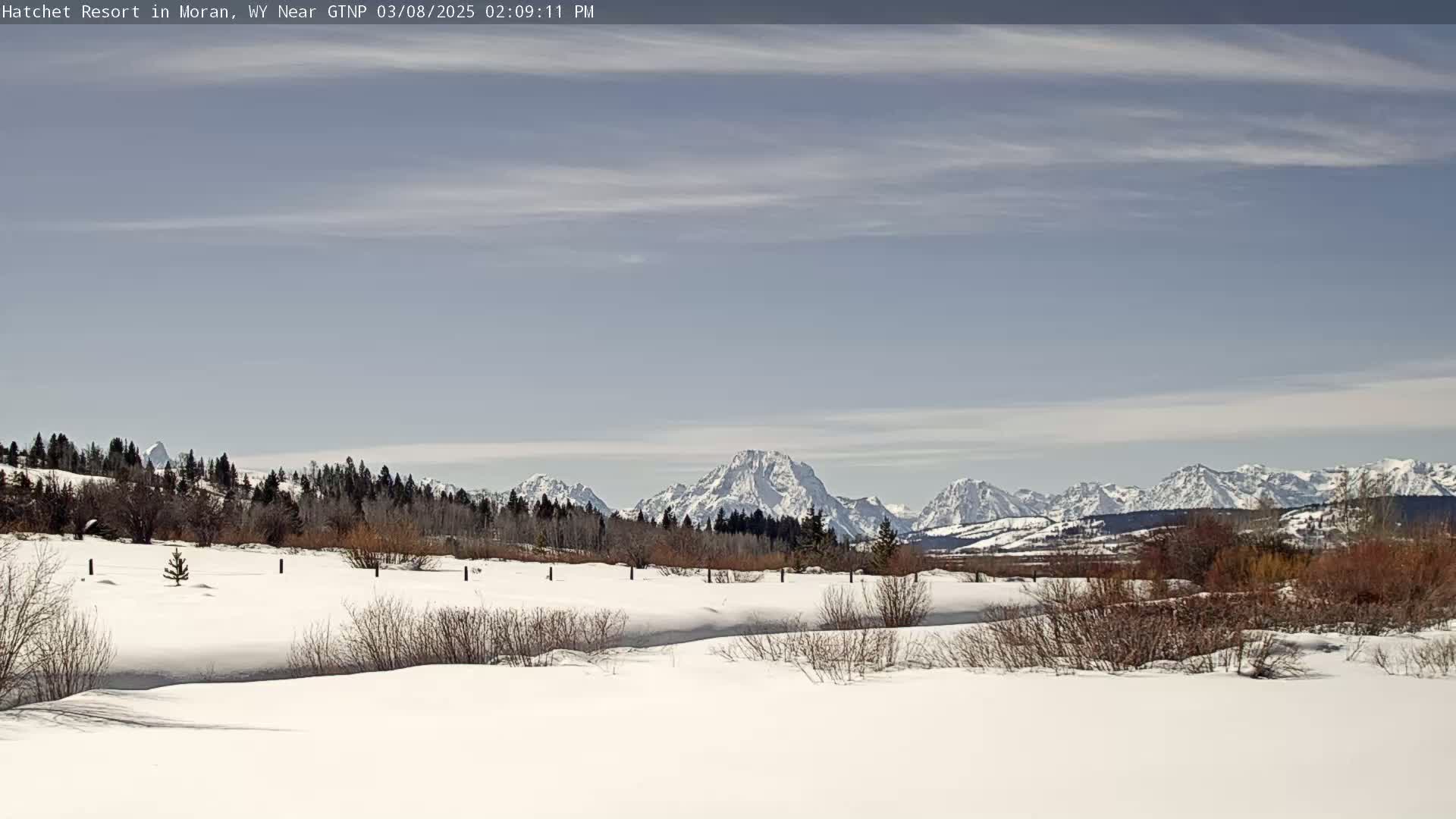 A snow-covered field with leafless shrubs and trees in the foreground, overlooks a mountain range under a mostly clear sky.