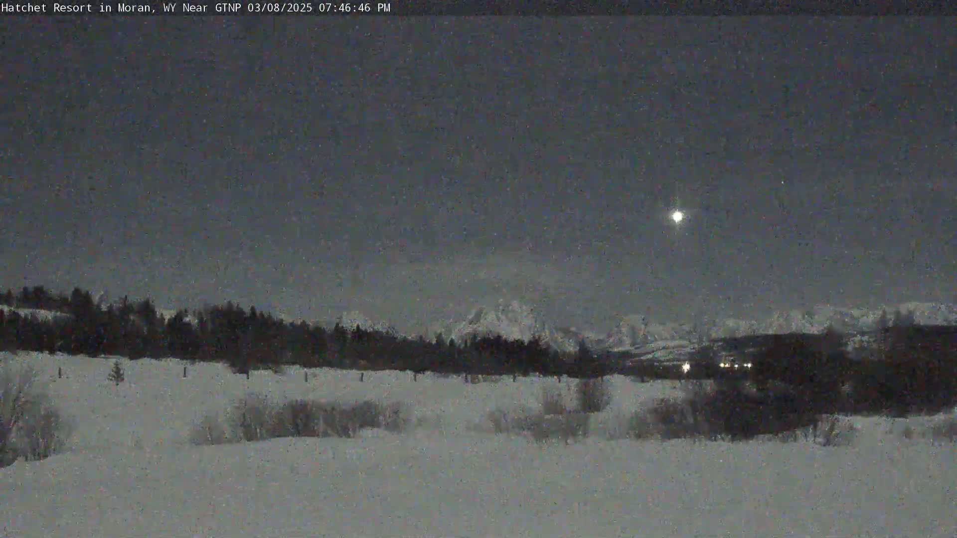 A snow-covered landscape at night, featuring a line of trees in the middle ground and mountains in the background under a mostly clear, moonlit sky.
