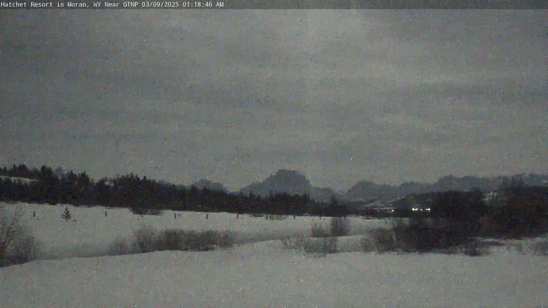A snow-covered field stretches towards a line of dark trees and distant mountains under a cloudy, overcast sky.