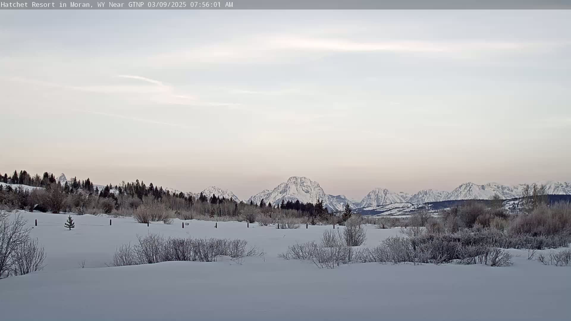 A snow-covered landscape with frost-covered bushes in the foreground, a line of evergreen trees in the middle ground, and a range of snow-capped mountains under a pale, clear sky.