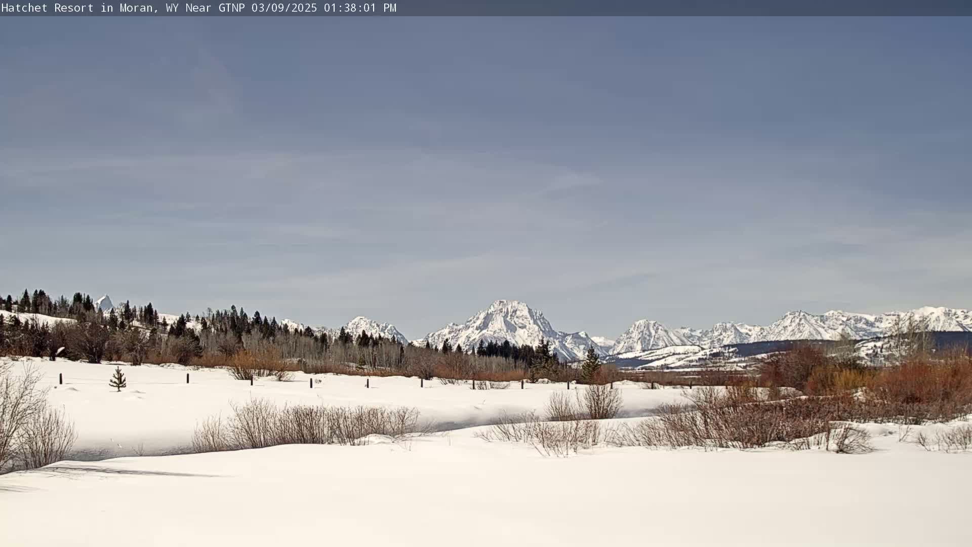 A snow-covered field with leafless shrubs and trees in the foreground, and a range of snow-capped mountains under a mostly clear sky in the background.