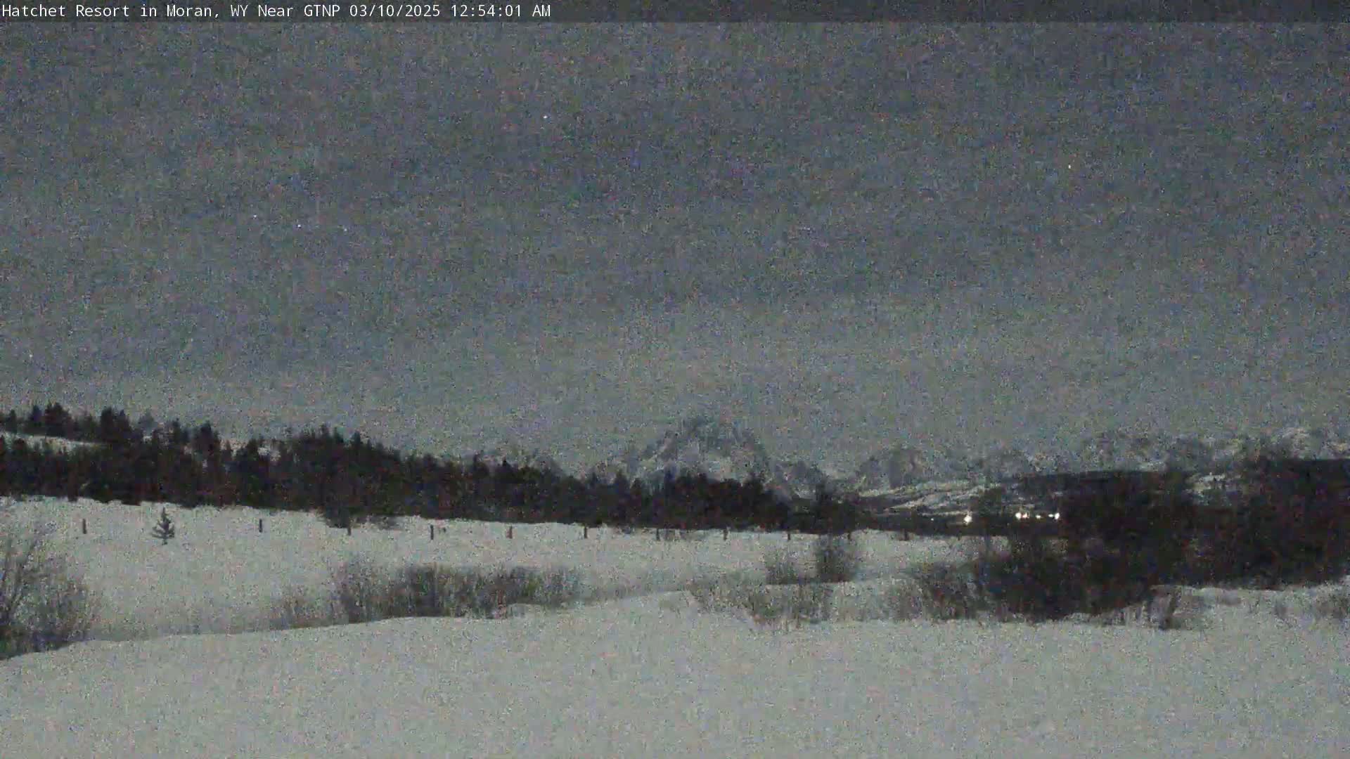 A snow-covered landscape at night shows a line of trees in the middle ground, with mountains visible in the far background under a dark, mostly clear sky.