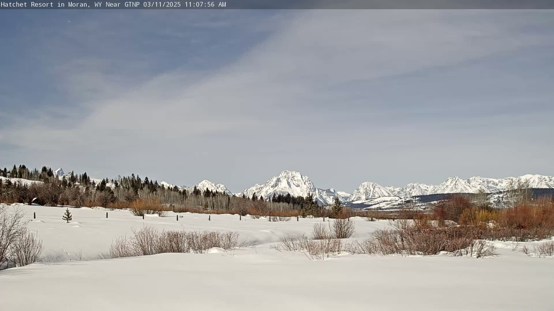 A snow-covered field with leafless shrubs and trees in the foreground, overlooks a line of snow-capped mountains under a mostly clear, light gray sky.