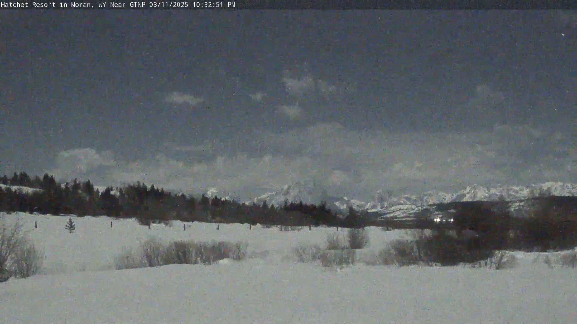 A snow-covered landscape with a line of dark trees in the middle ground and mountains in the background under a mostly cloudy sky.
