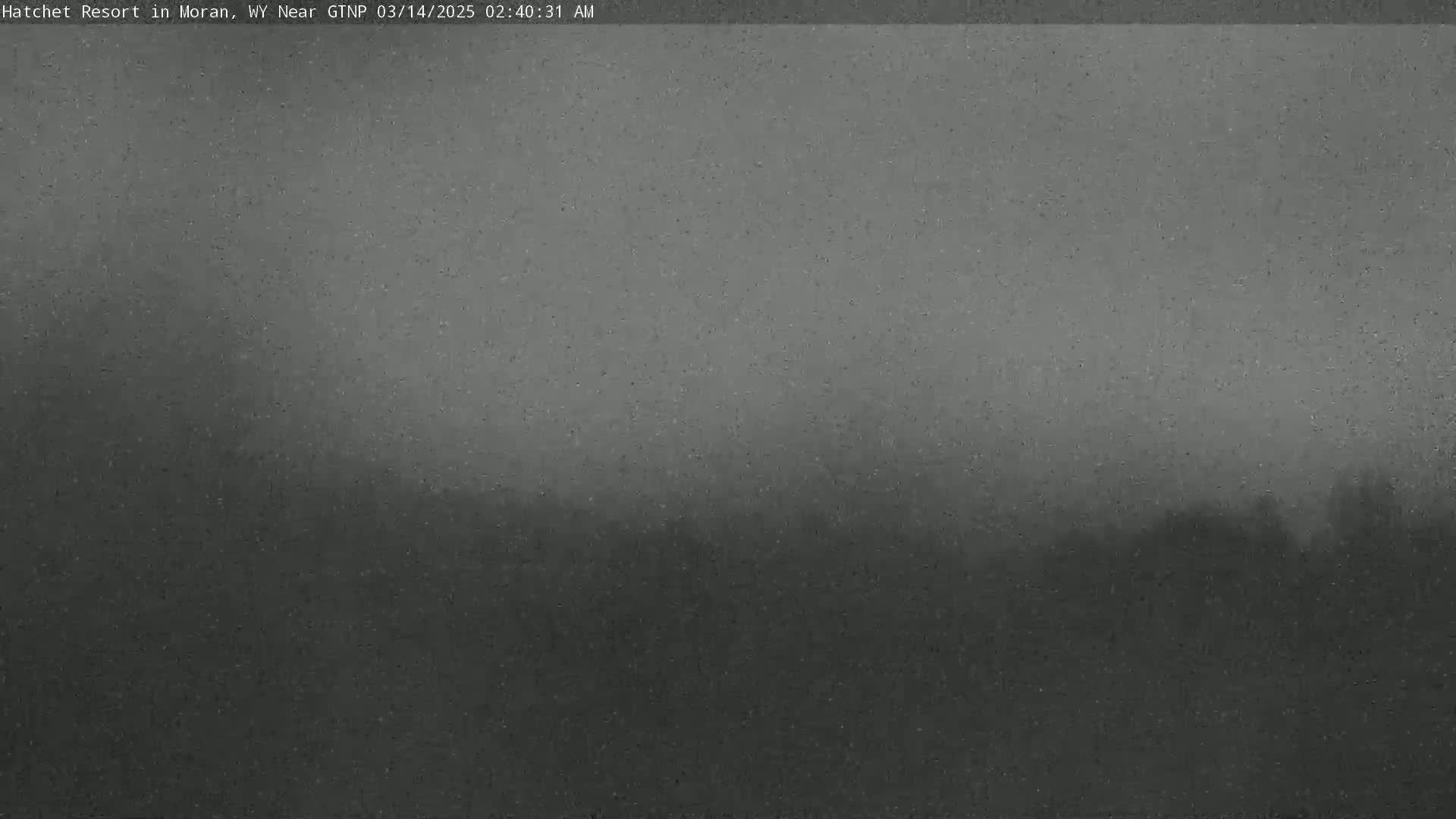 A dark, blurry image shows a line of trees in the distance under a heavy, gray sky.