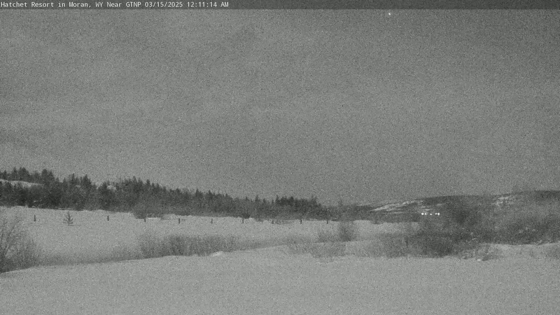 A snow-covered field stretches out before a line of dark trees under a gray, overcast sky.