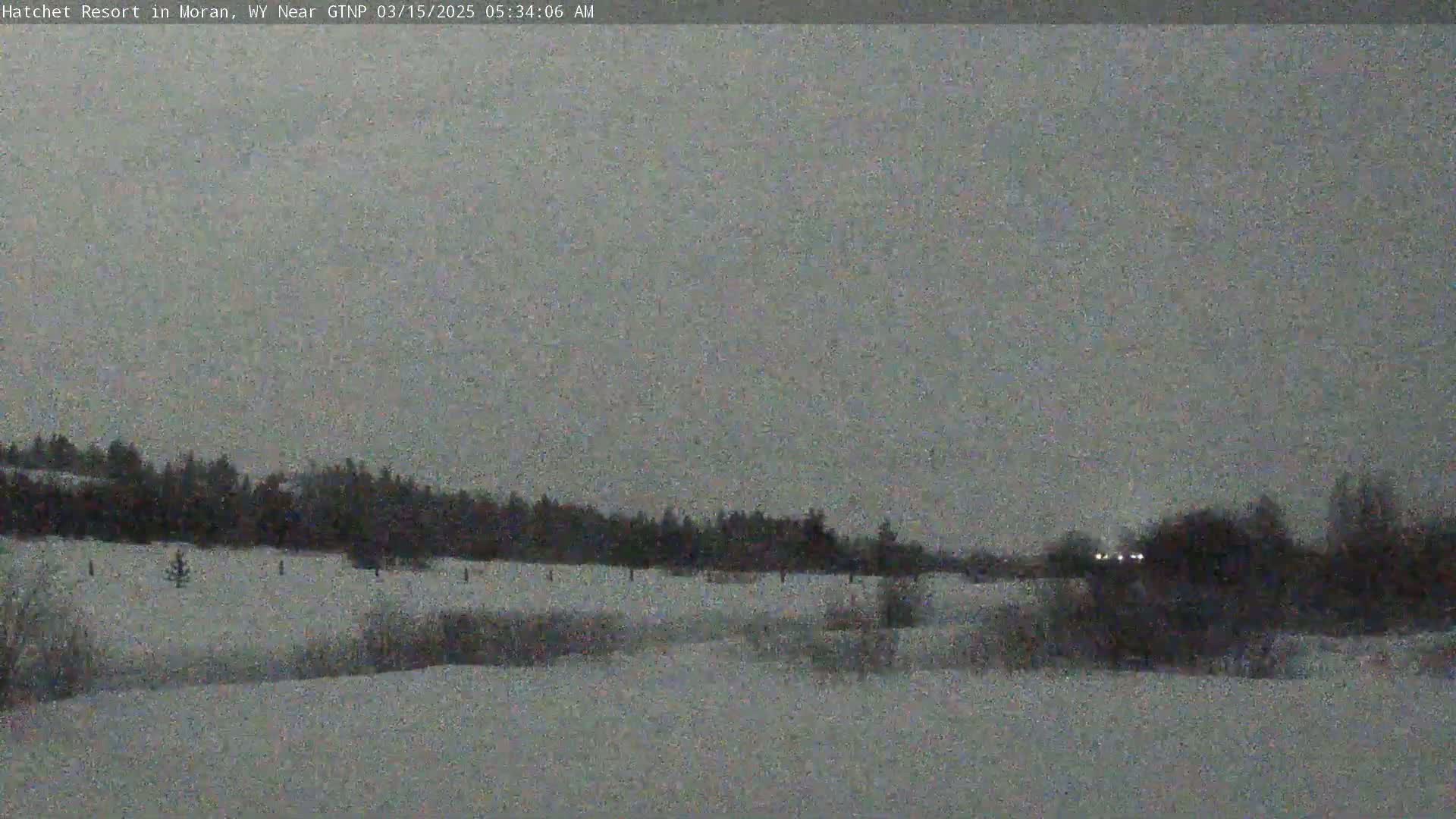 A snow-covered landscape with a line of trees in the distance under an overcast sky.