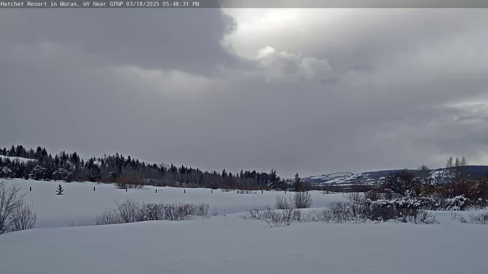 A snow-covered landscape with dark evergreen trees in the background under a mostly cloudy sky.