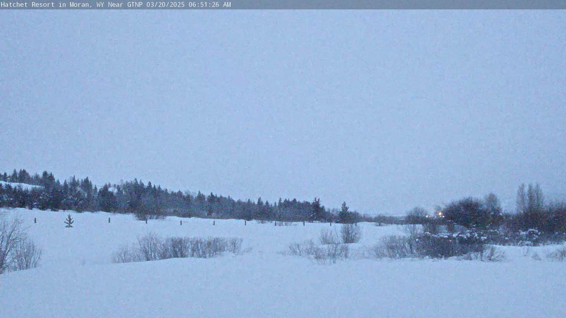 A snow-covered landscape with a line of dark trees in the distance under a light gray sky.