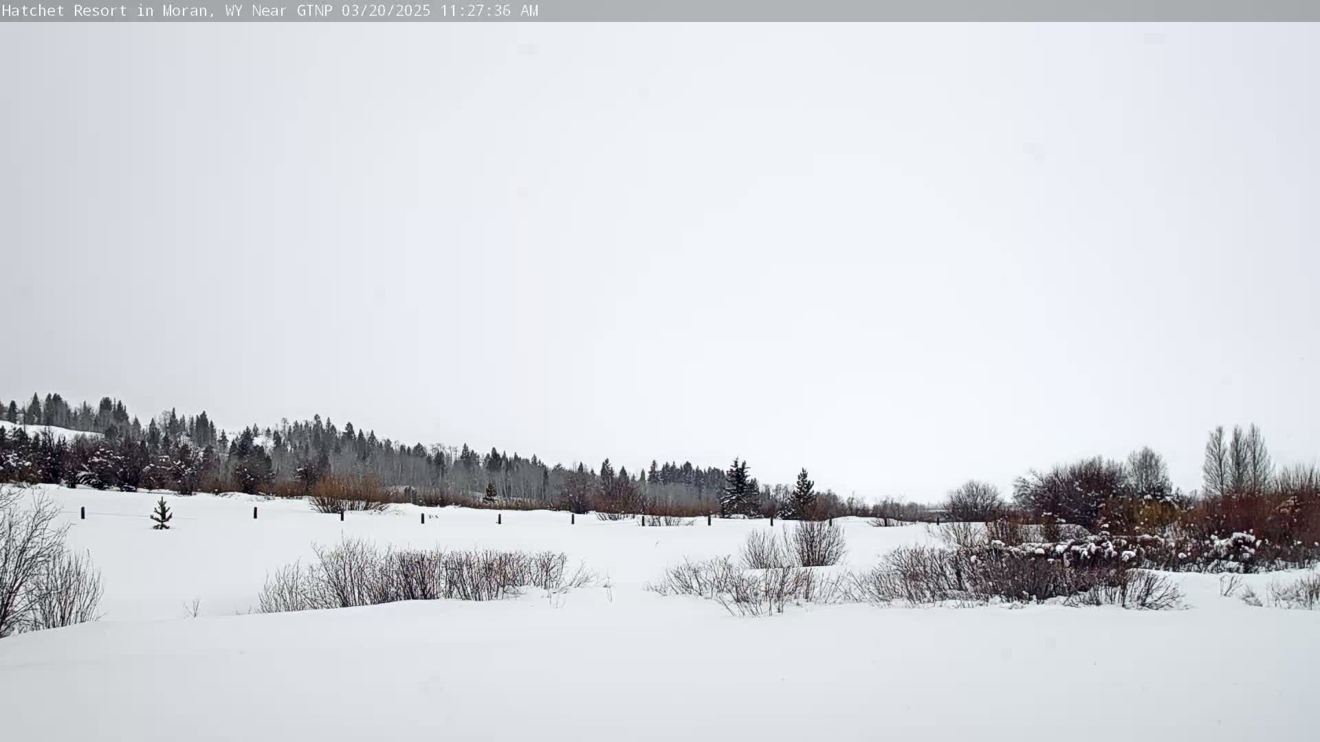 A snow-covered landscape features a line of trees in the distance under a mostly cloudy sky.