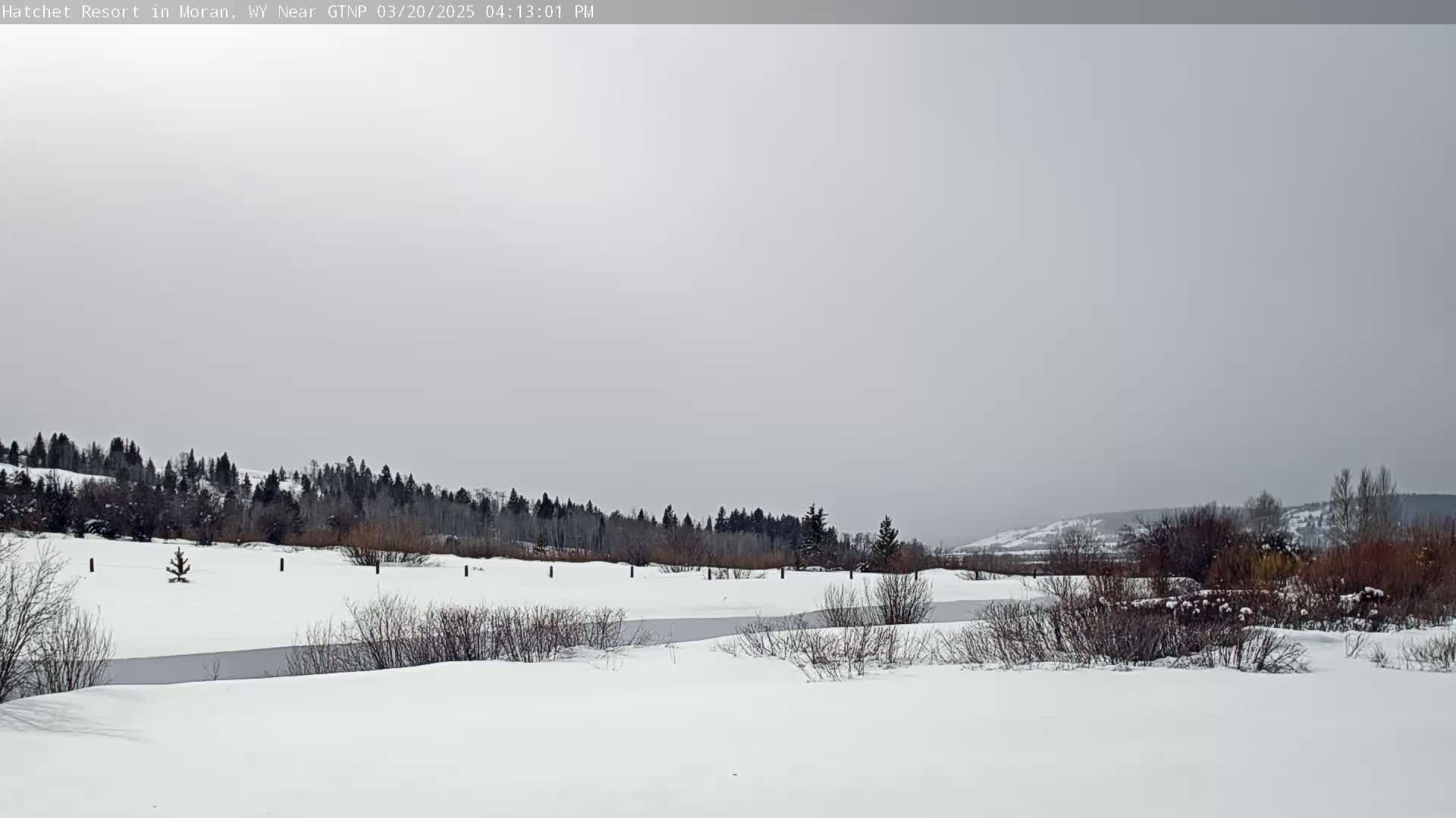 A snow-covered landscape features a partially frozen stream winding through bushes and trees under a cloudy, overcast sky.