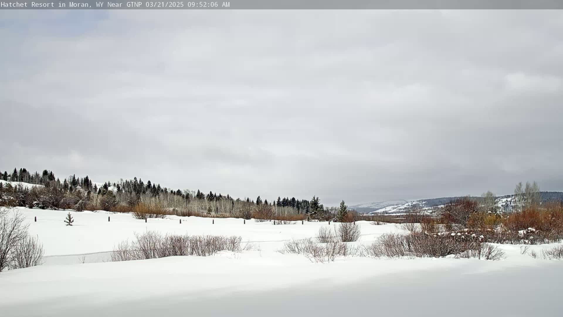 A snow-covered landscape with a line of trees in the background under a cloudy sky.