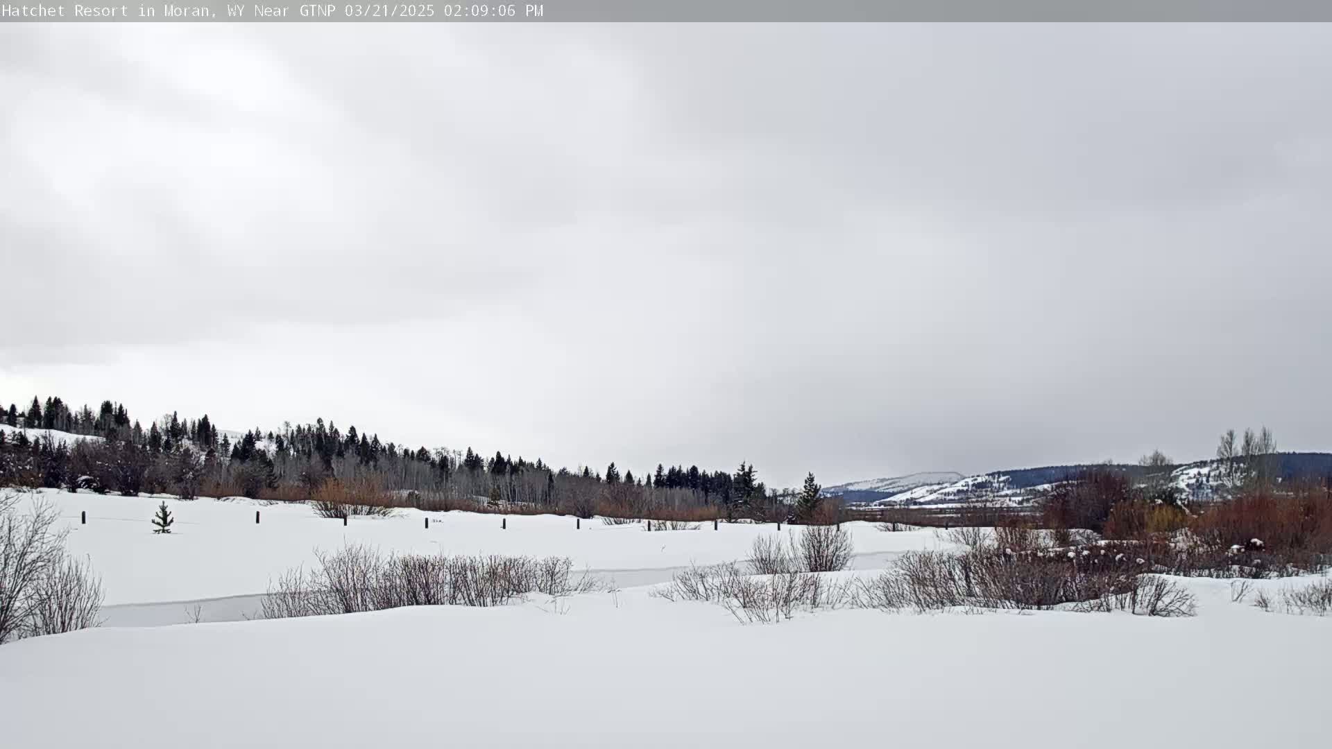 A snow-covered landscape featuring a line of evergreens in the background under an overcast sky.