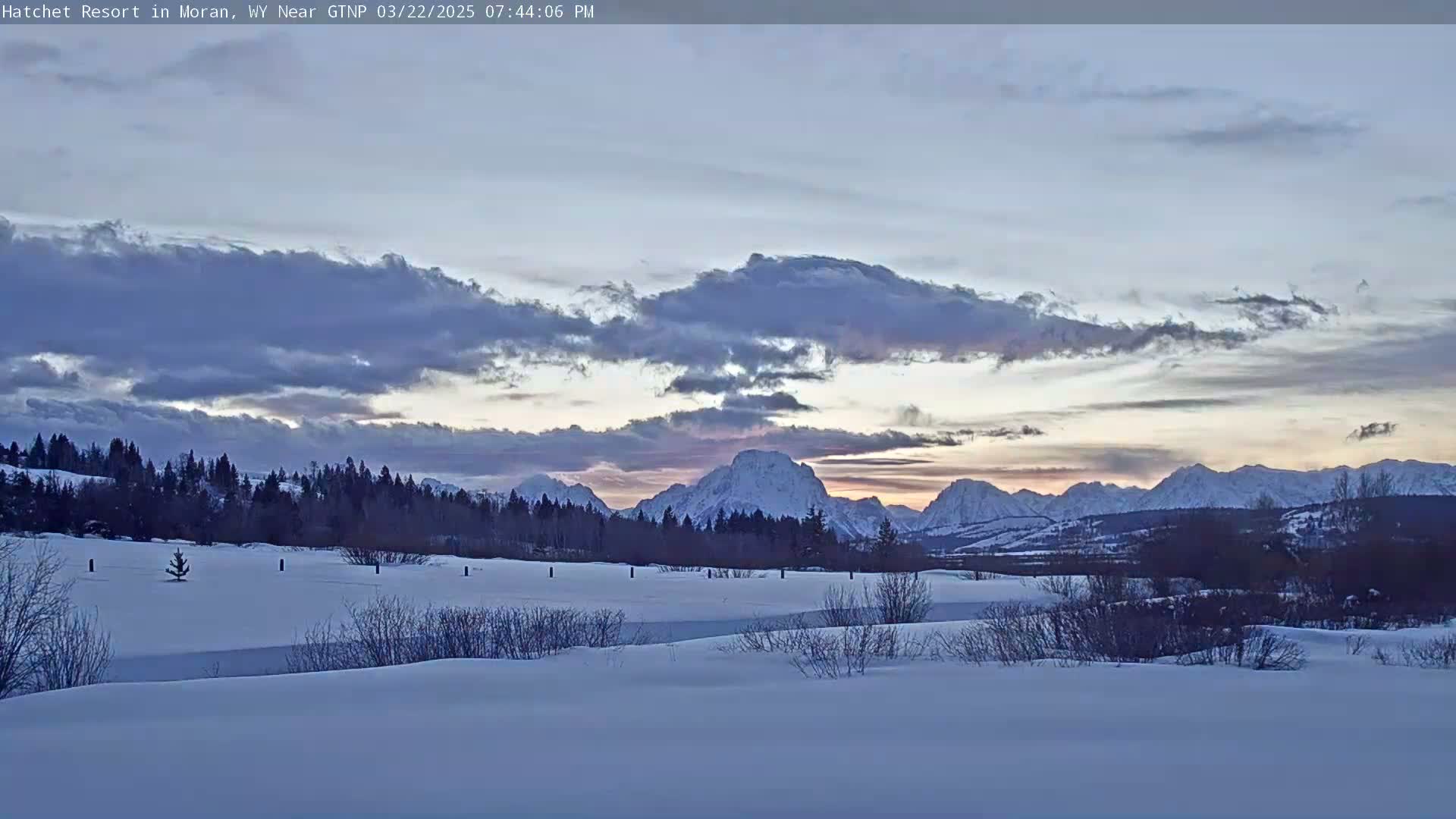 A snow-covered landscape shows a line of trees in front of a range of snow-capped mountains under a twilight sky with clouds.