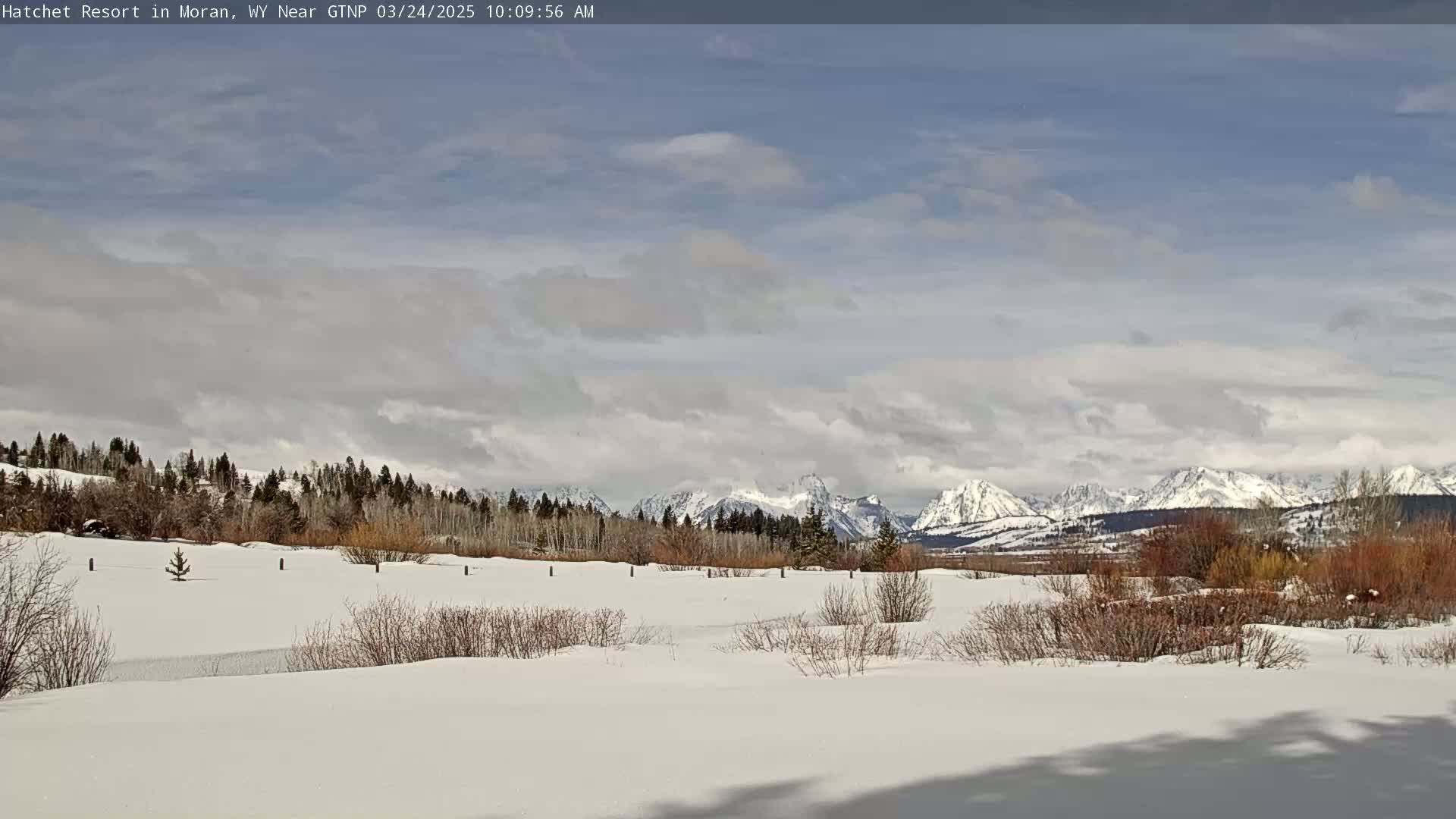 A snow-covered field with leafless shrubs and a line of trees in the mid-ground, overlooking a range of snow-capped mountains under a partly cloudy sky.