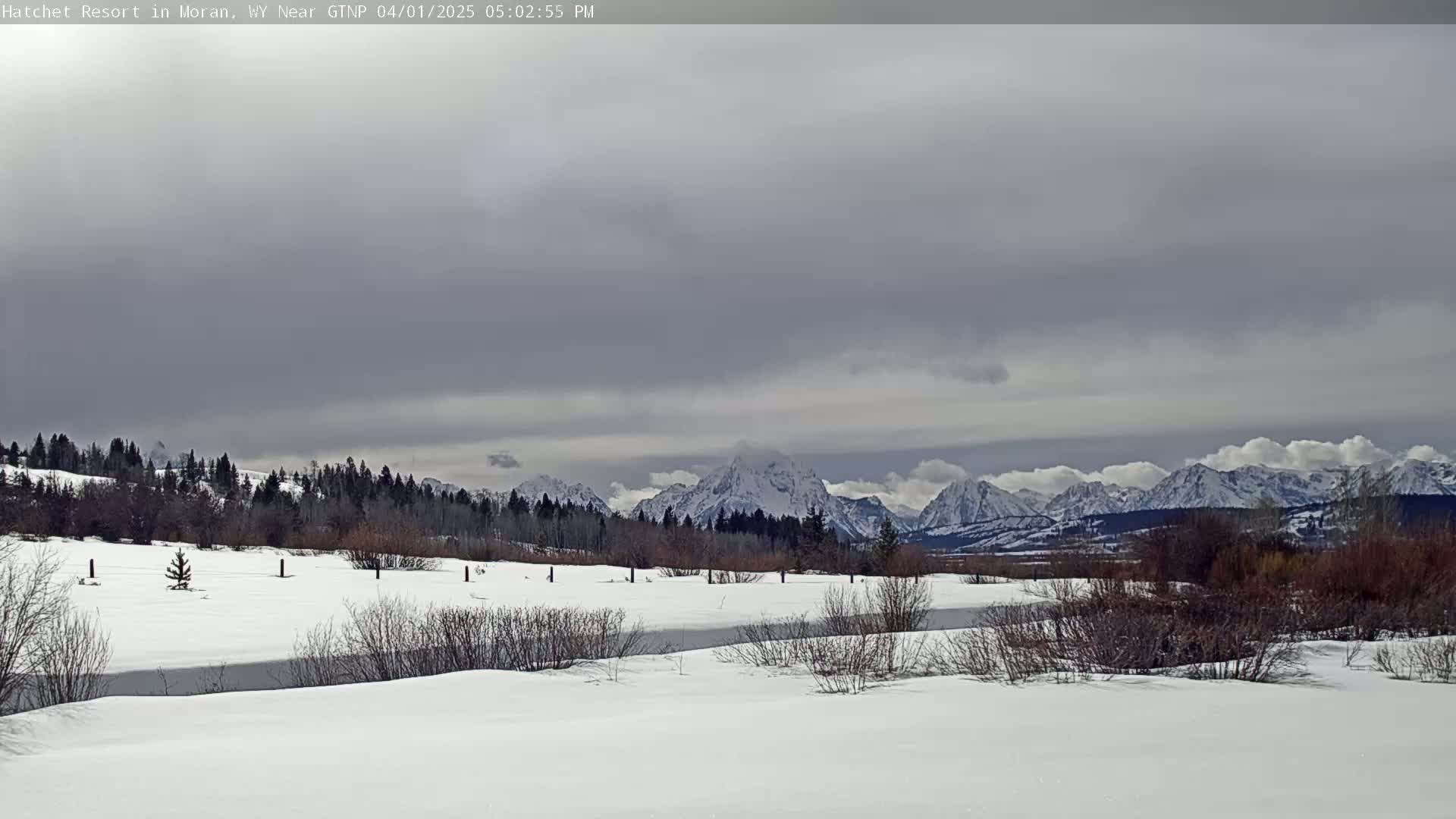 A snow-covered landscape with a frozen waterway and leafless shrubs stretches towards a snow-capped mountain range under an overcast sky.