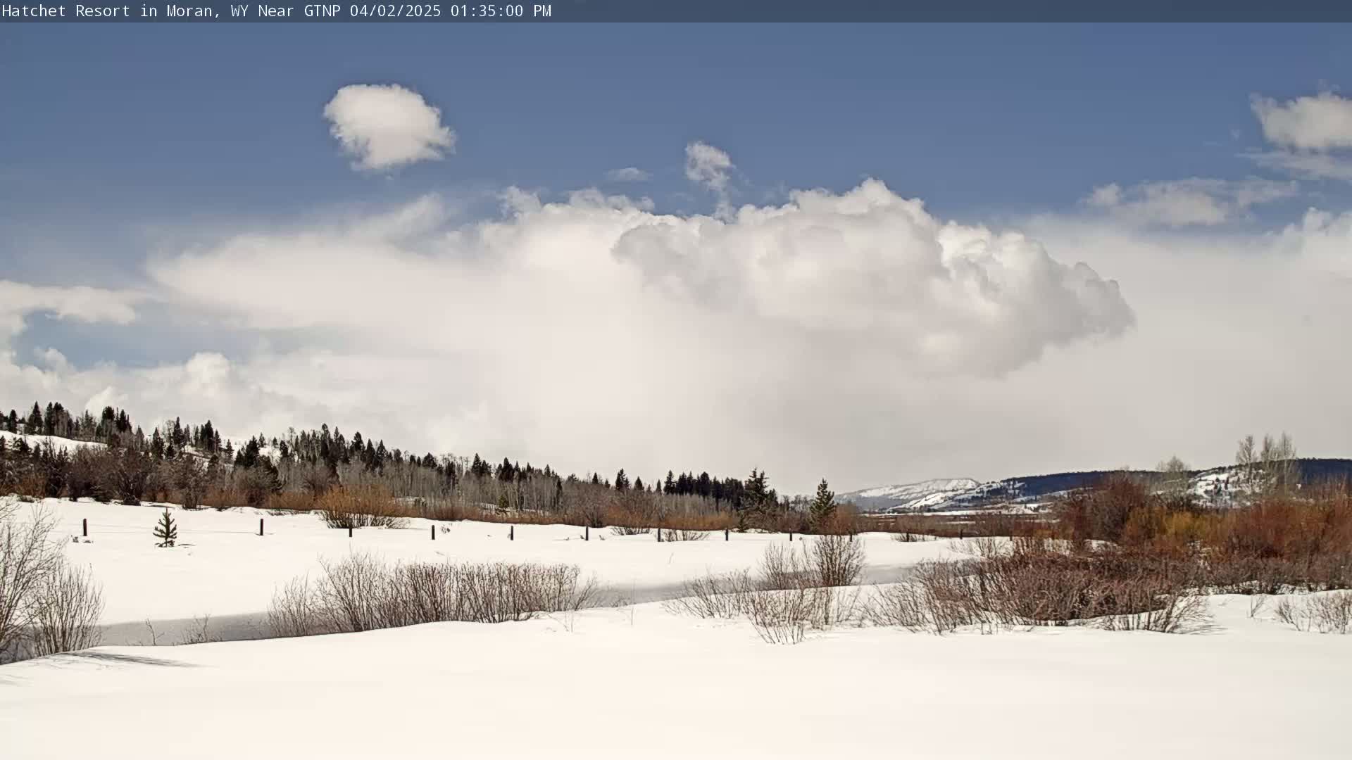 A snow-covered landscape with a partly cloudy sky features a line of trees in the background, a frozen stream, and small shrubs in the foreground.