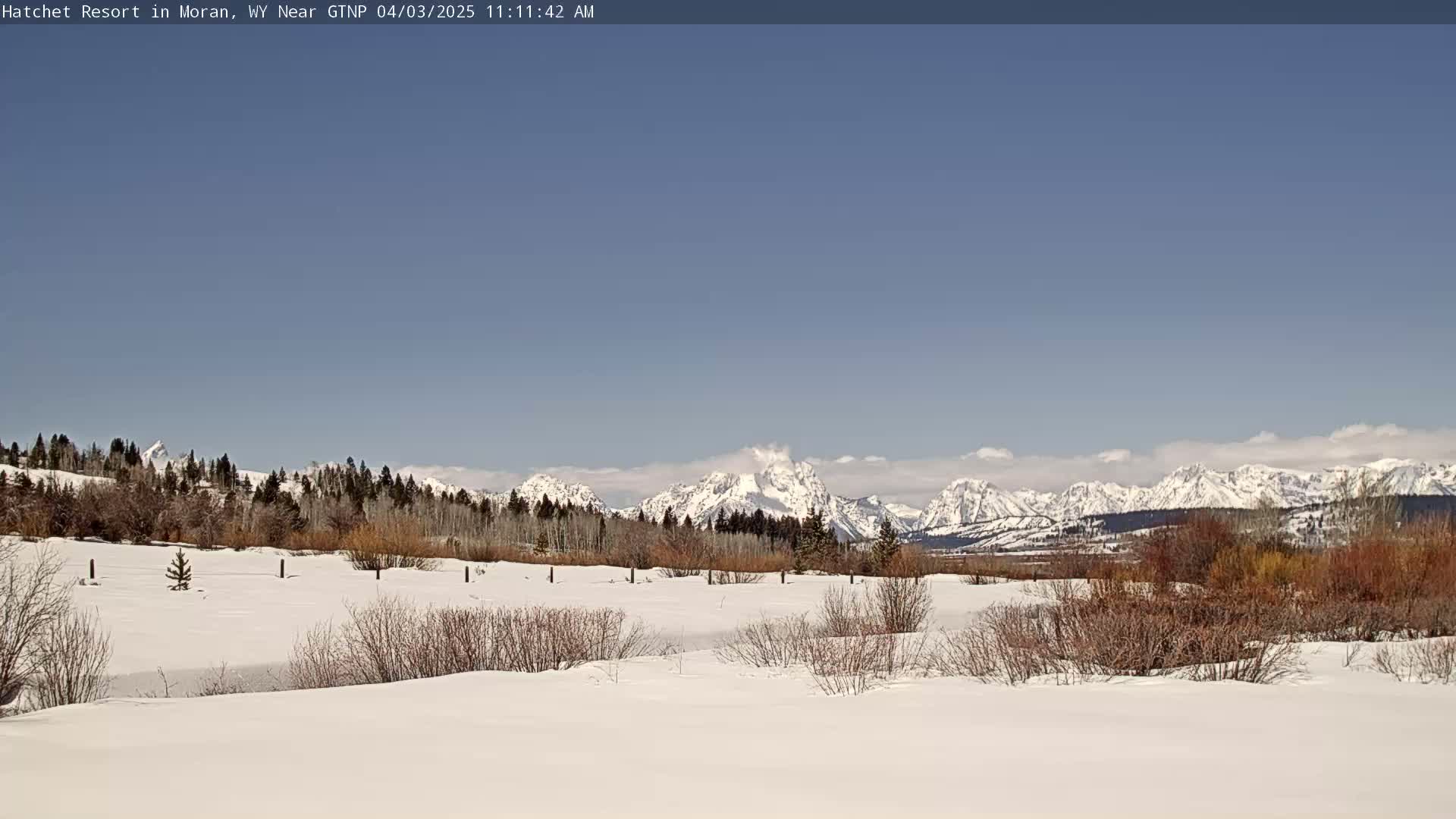 A snow-covered field with dormant shrubs and trees in the foreground, overlooking a mountain range capped with snow under a clear blue sky.