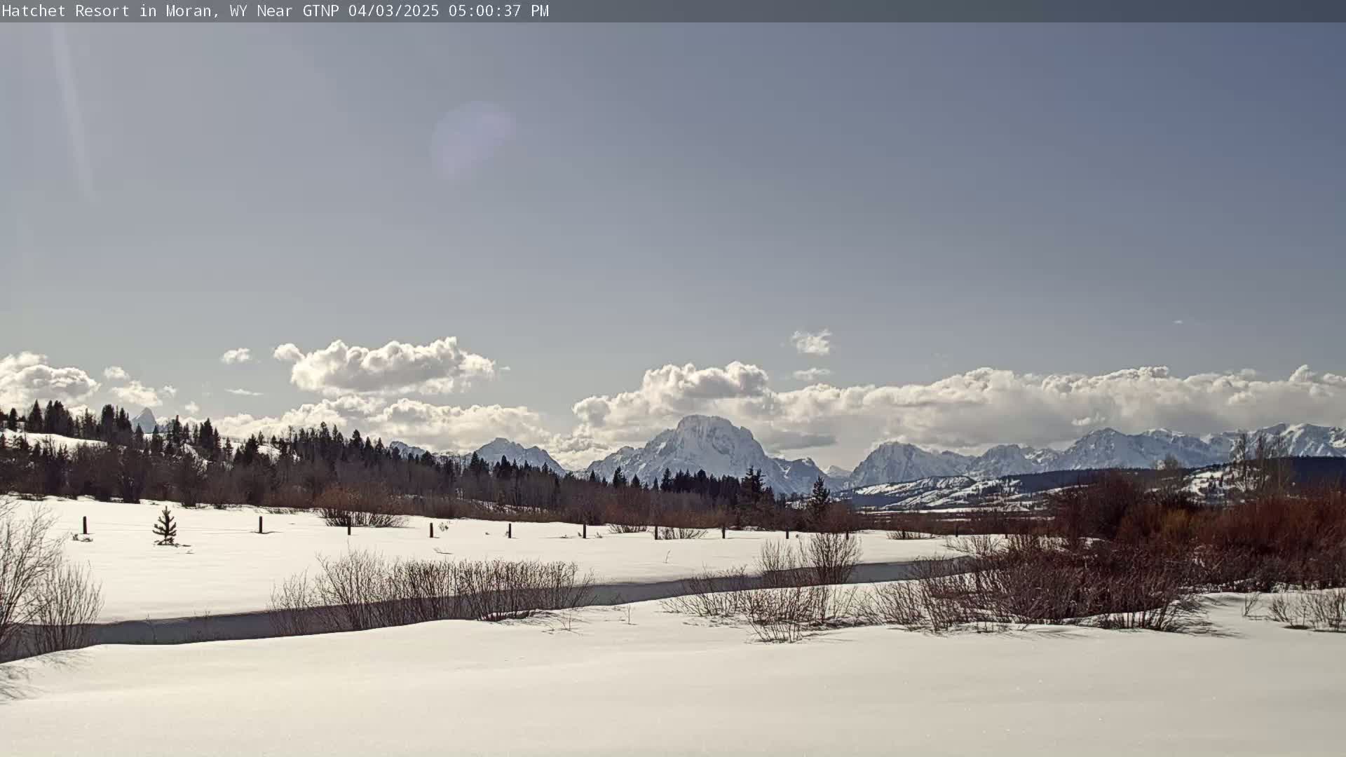 A snow-covered field with shrubs and trees stretches towards a range of snow-capped mountains under a partly cloudy sky.